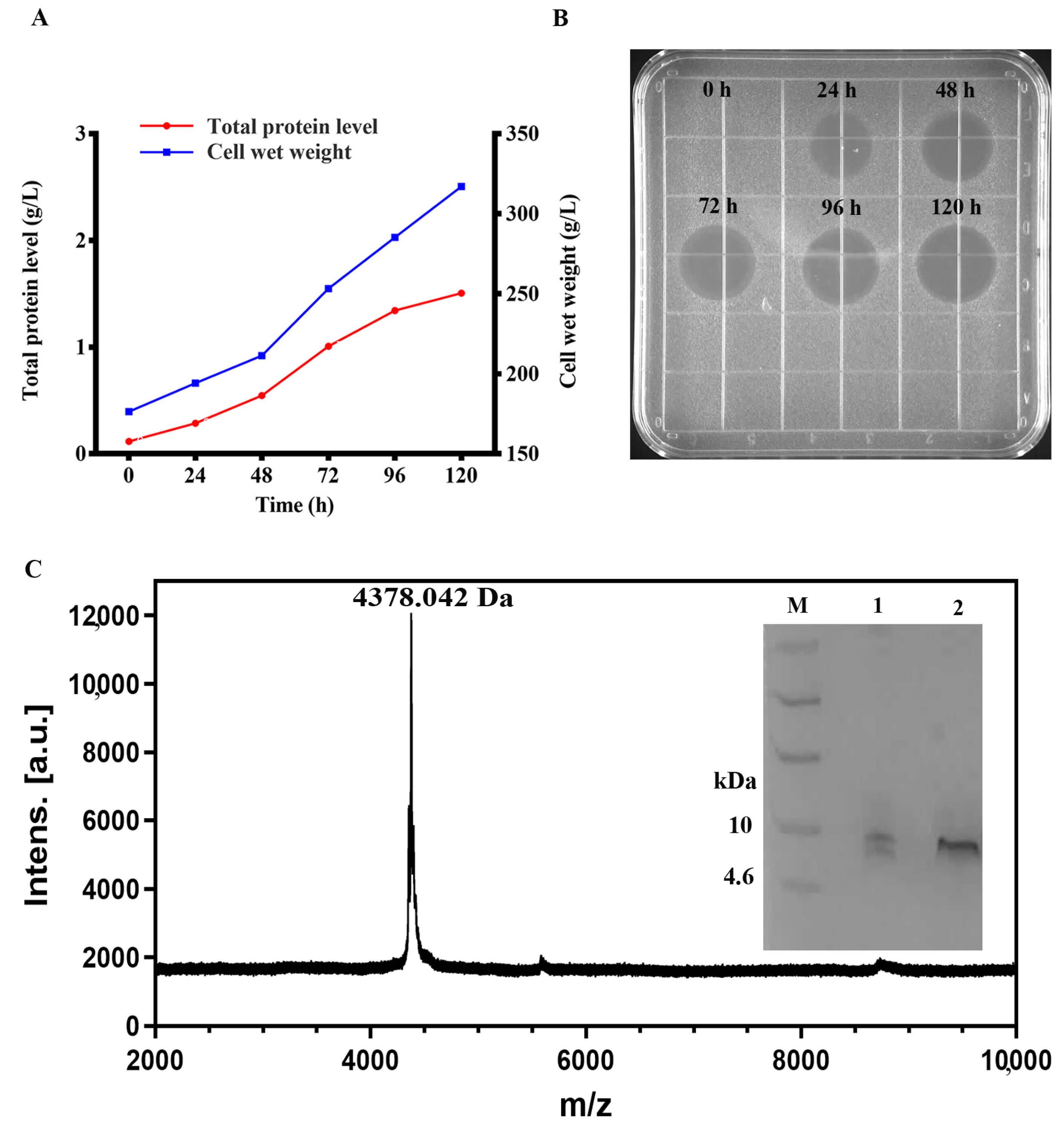 Ijms 22 05435 g001 Ijms 22 05435 g001