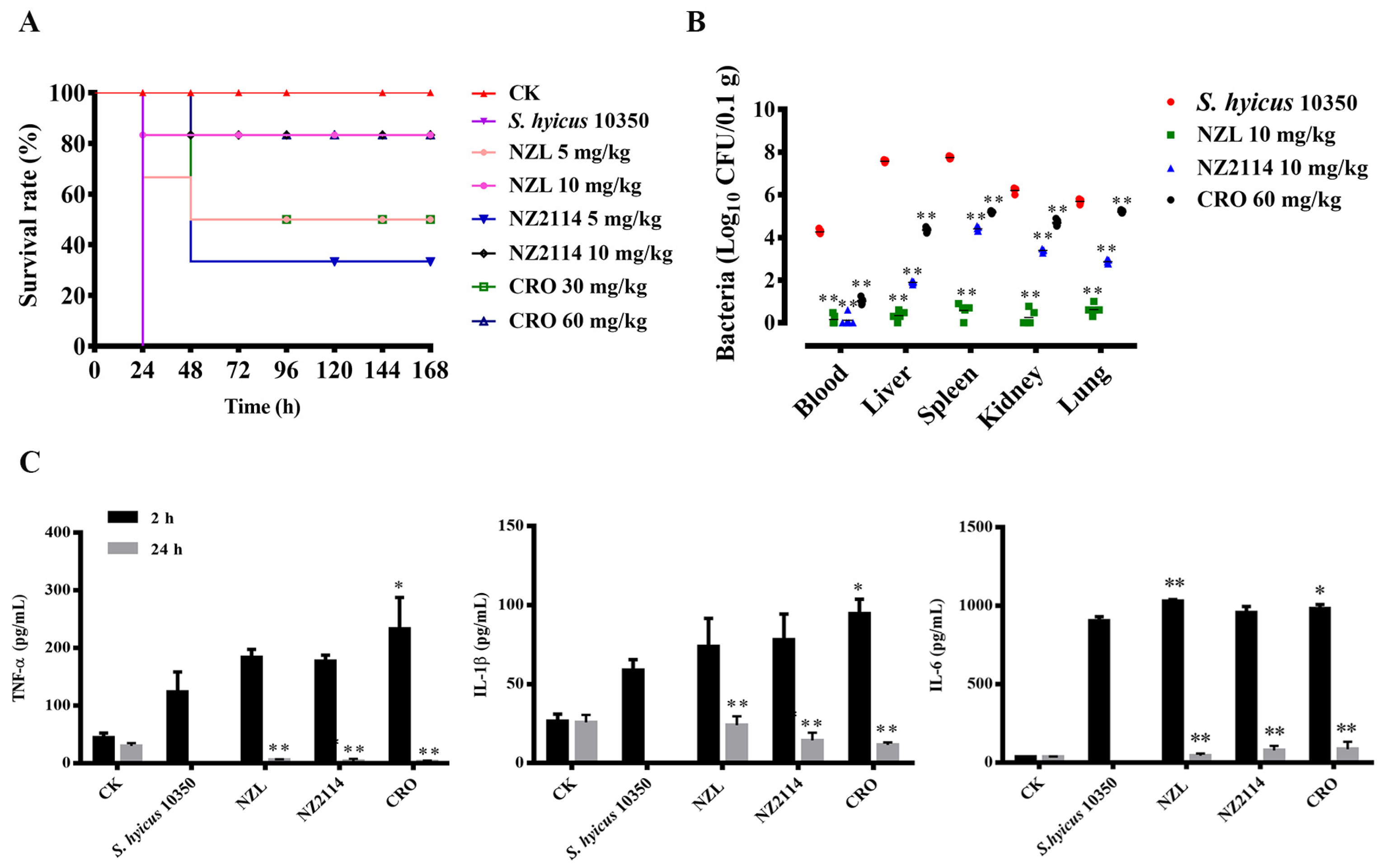Ijms 22 05435 g007 Ijms 22 05435 g007