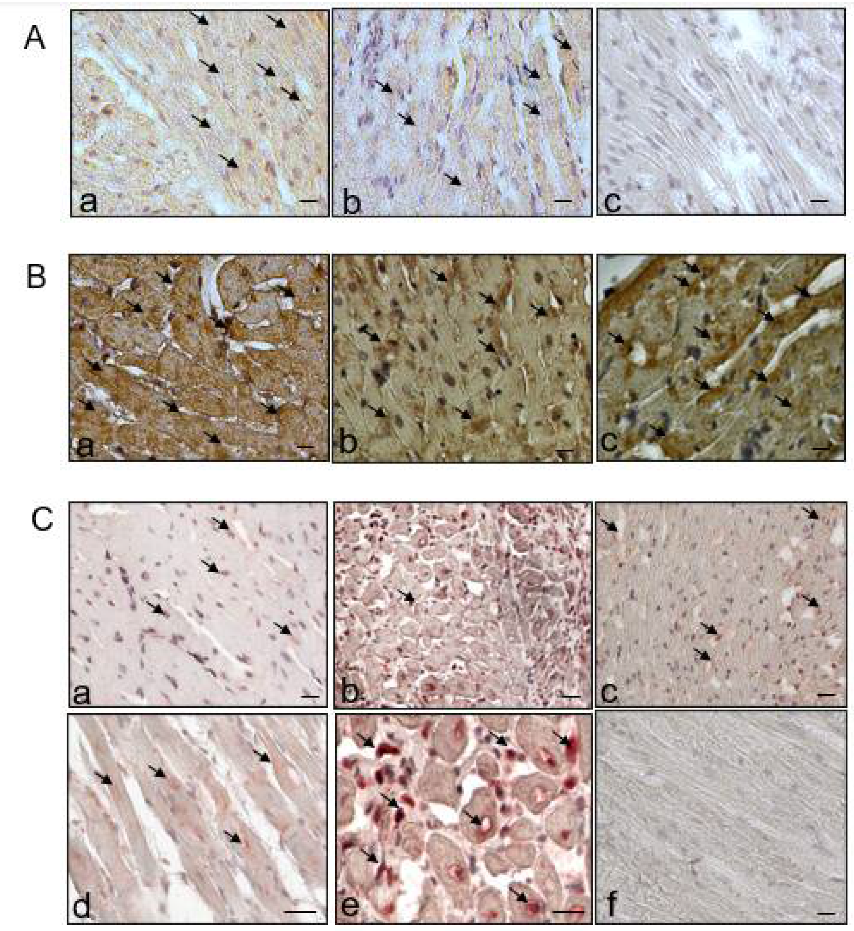 Ijms 22 05437 g004 Ijms 22 05437 g004