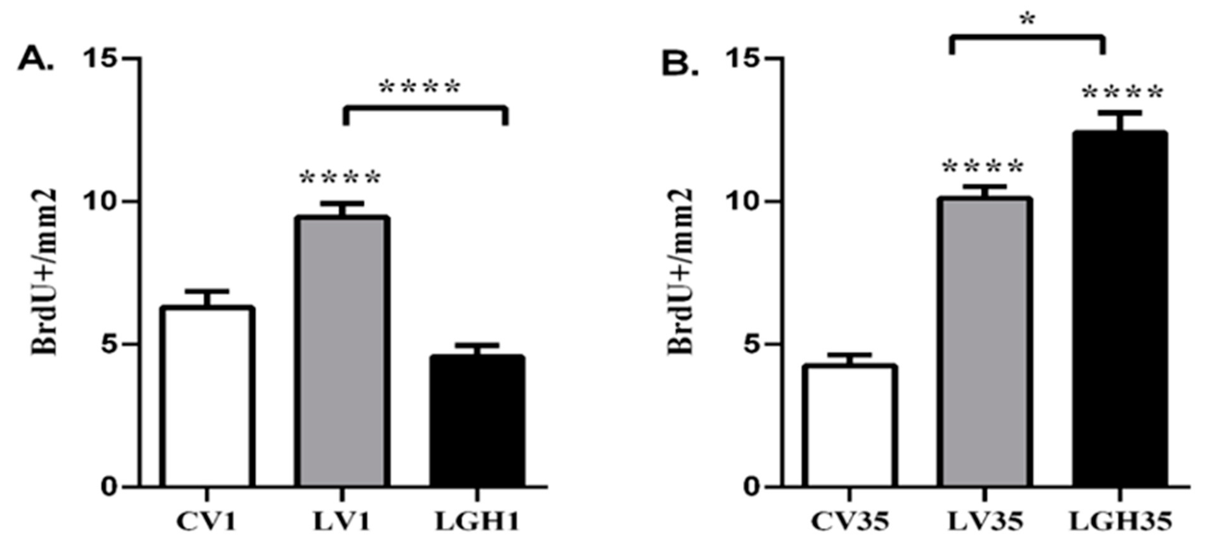 Ijms 22 05440 g004 Ijms 22 05440 g004