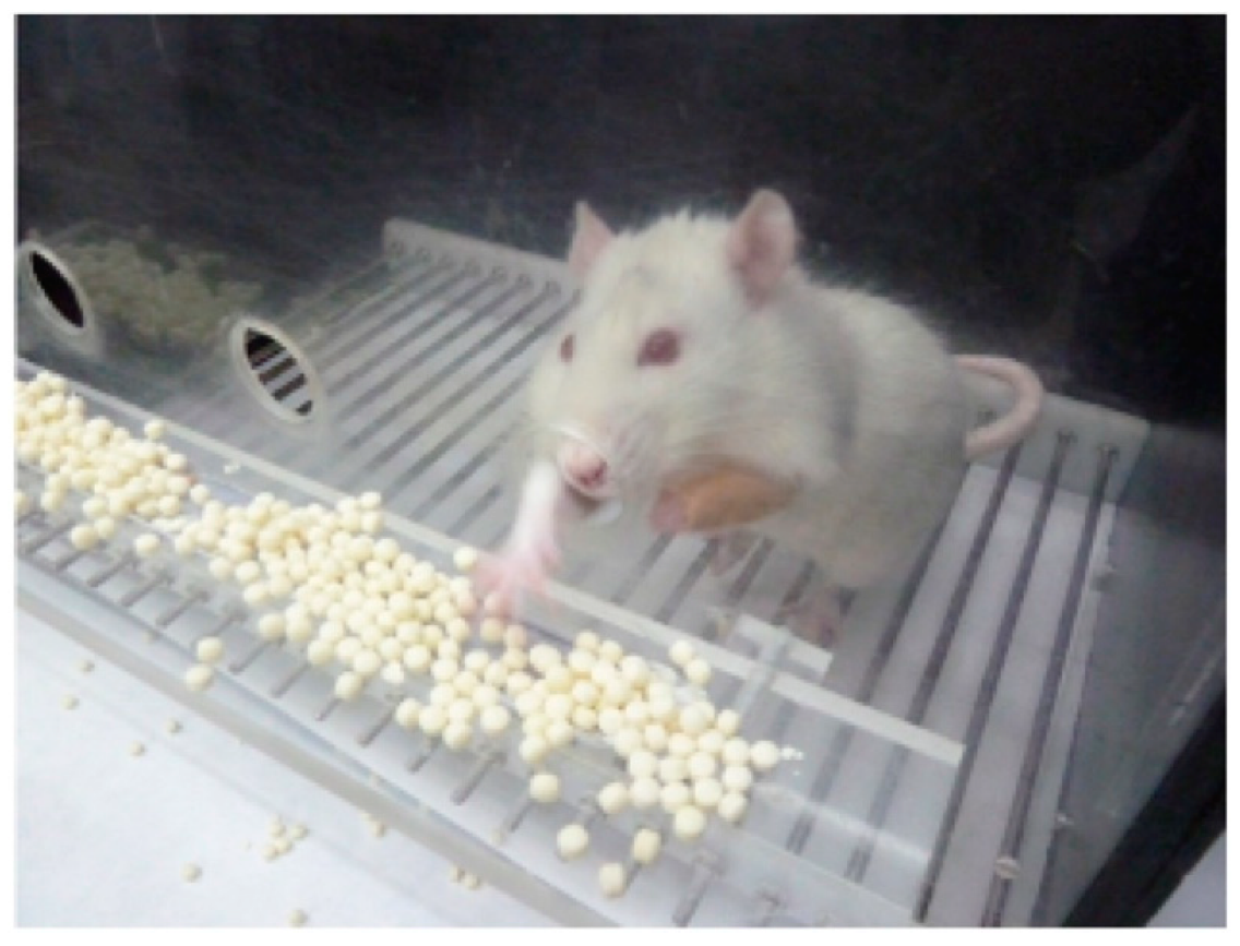 Ijms 22 05440 g010 Ijms 22 05440 g010