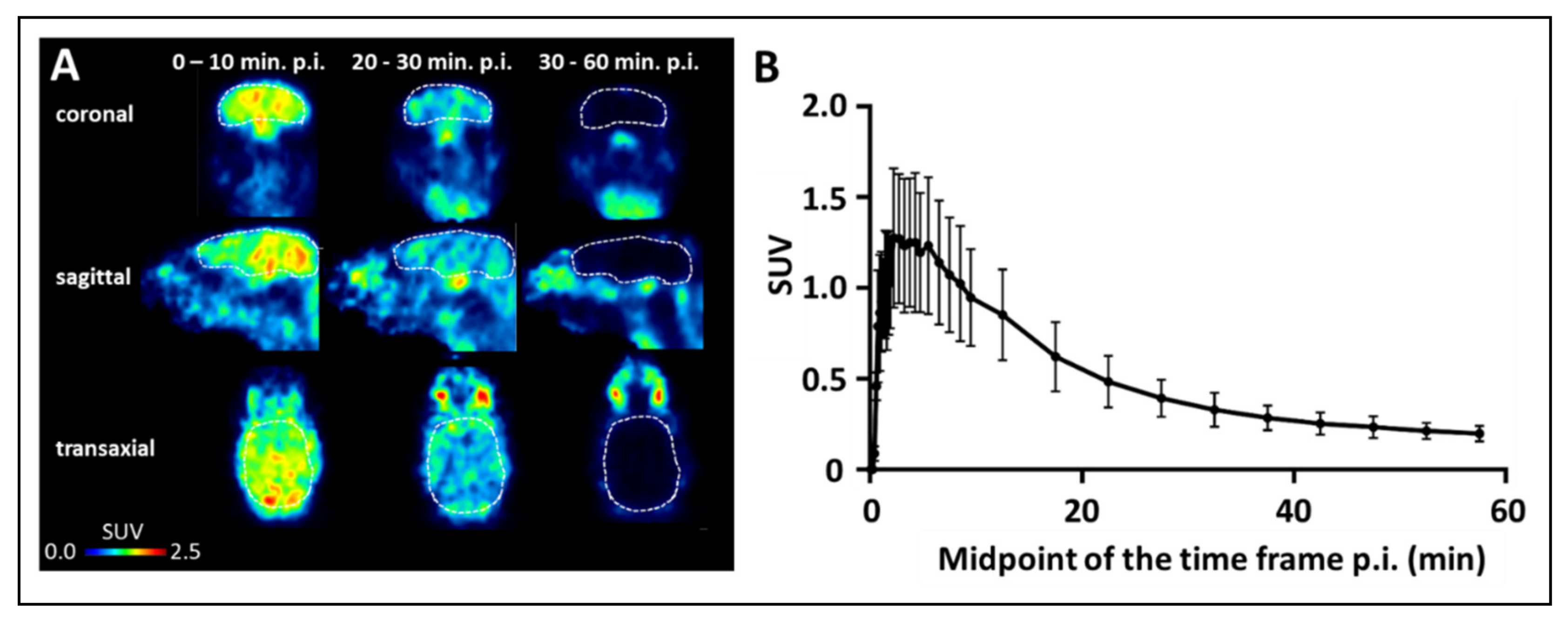 Ijms 22 05447 g006 Ijms 22 05447 g006