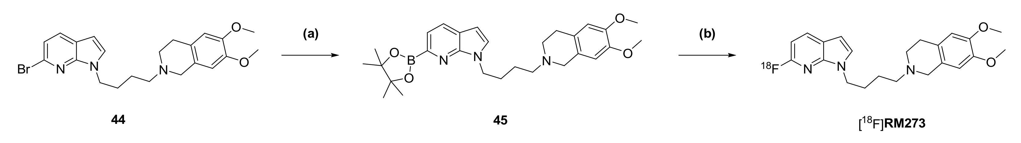 Ijms 22 05447 sch002 Ijms 22 05447 sch002