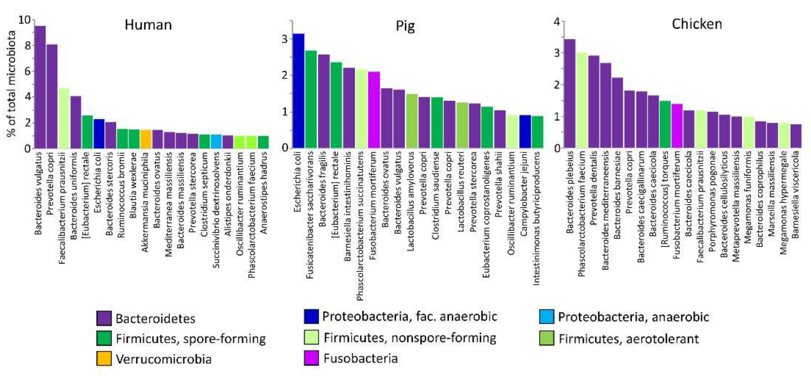 Ijms 22 05471 g001 Ijms 22 05471 g001