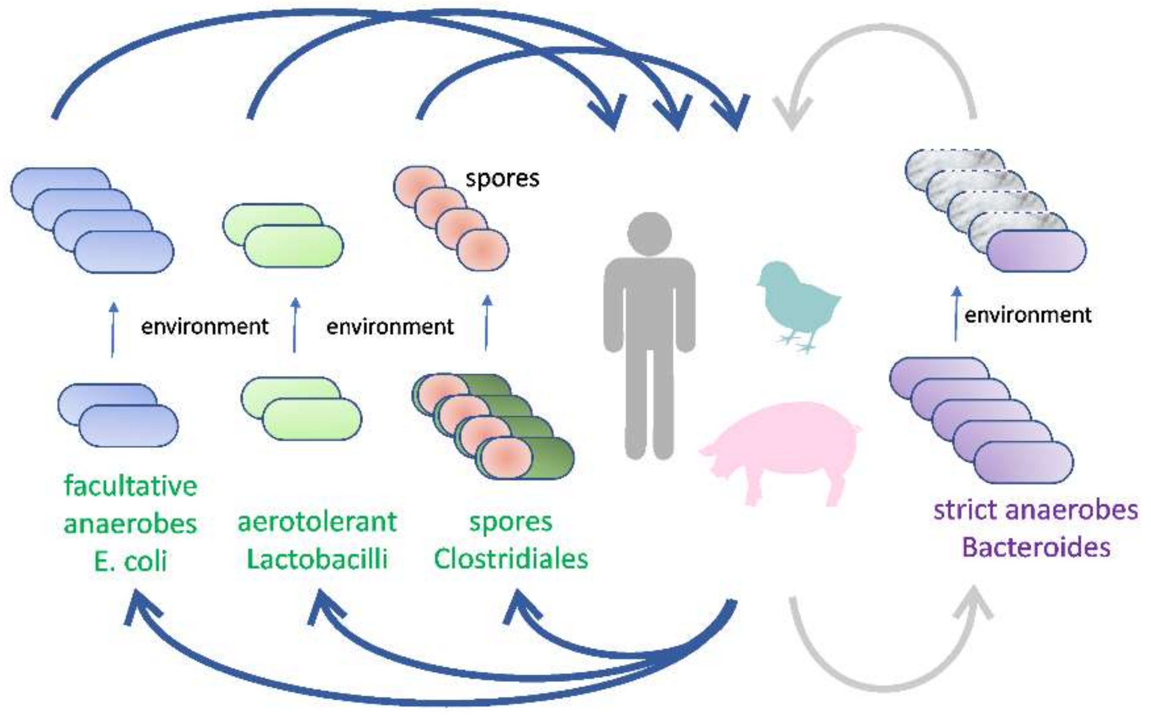 Ijms 22 05471 g002 Ijms 22 05471 g002