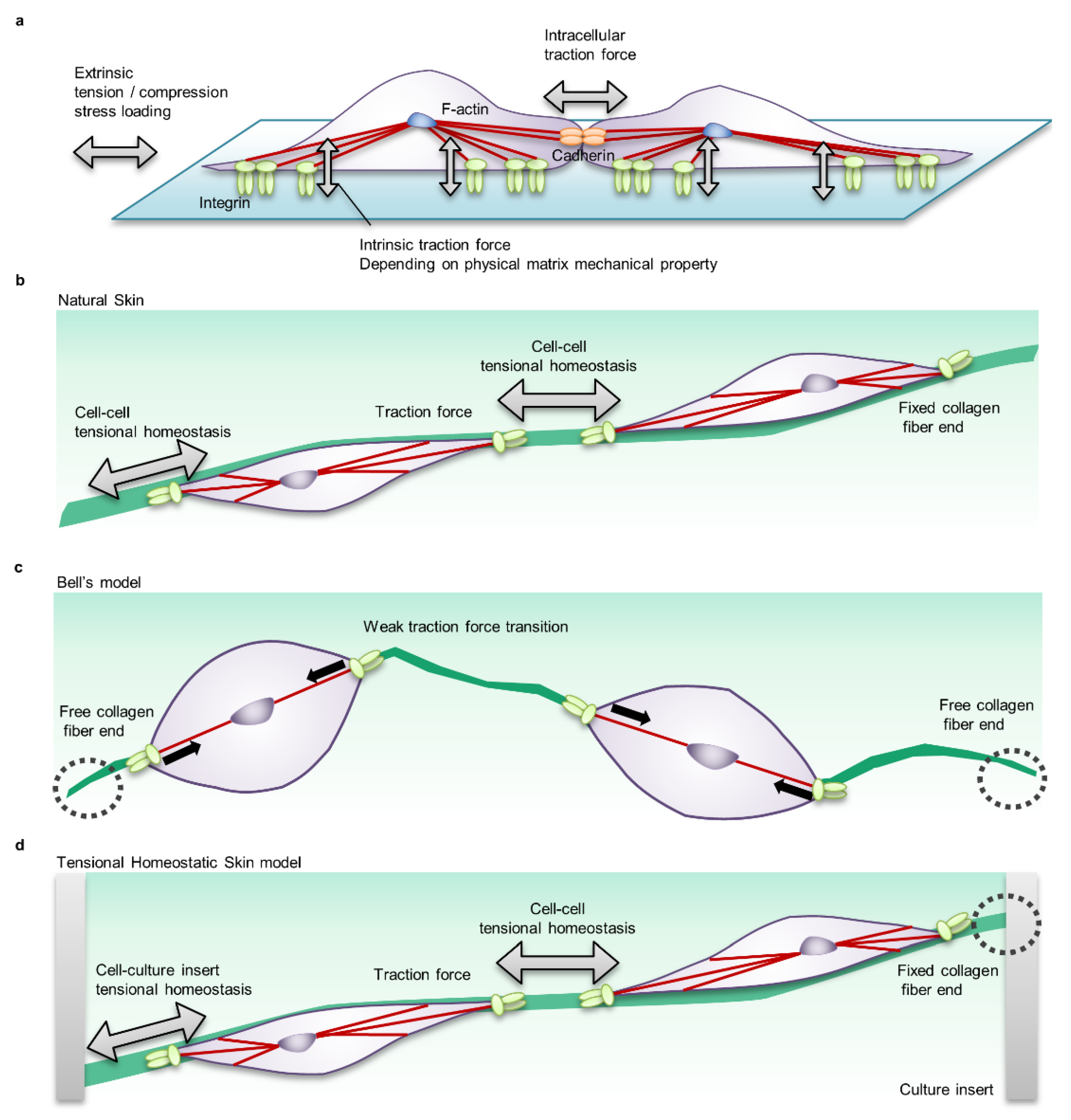 Ijms 22 05474 g005 Ijms 22 05474 g005
