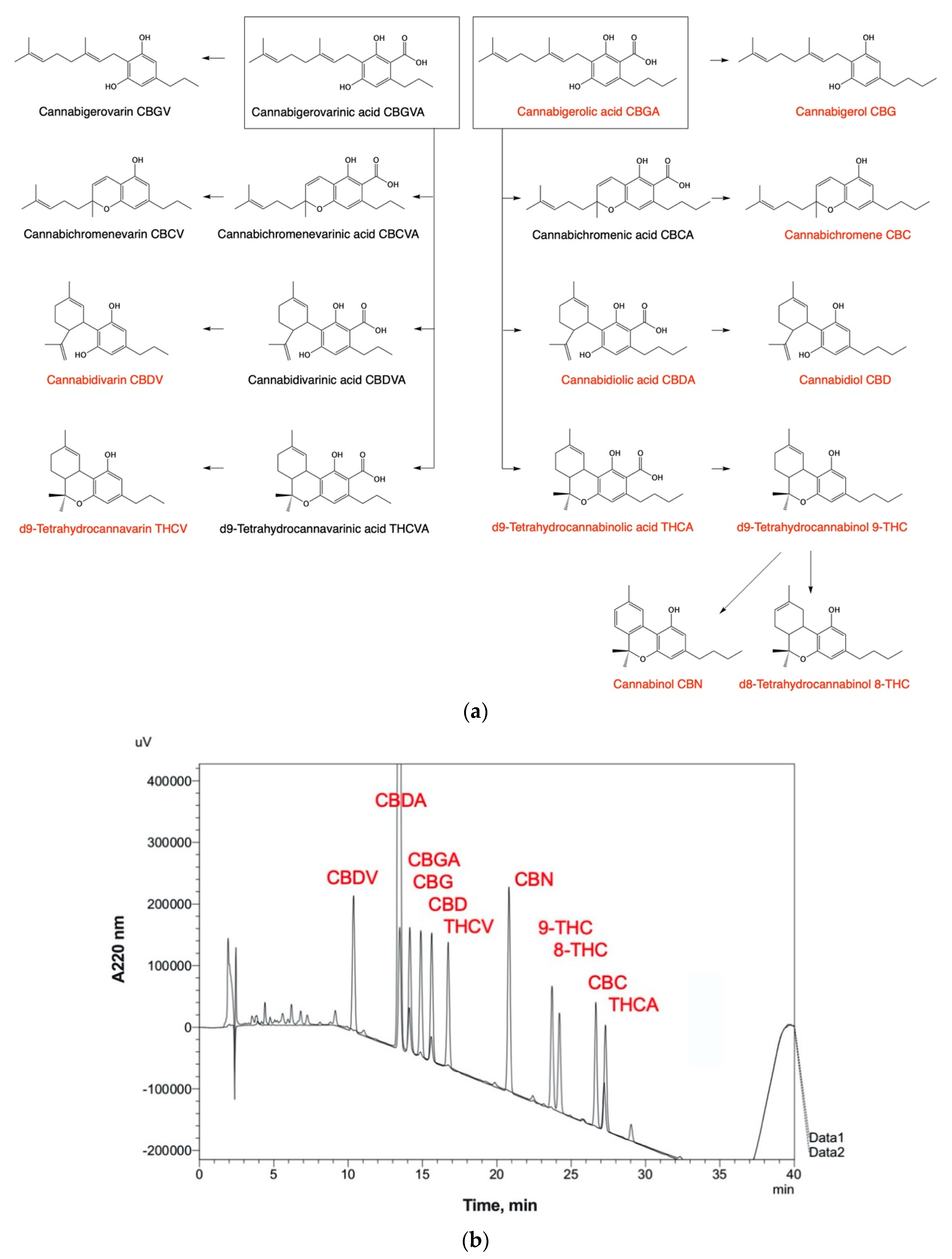 Ijms 22 05479 g002 Ijms 22 05479 g002