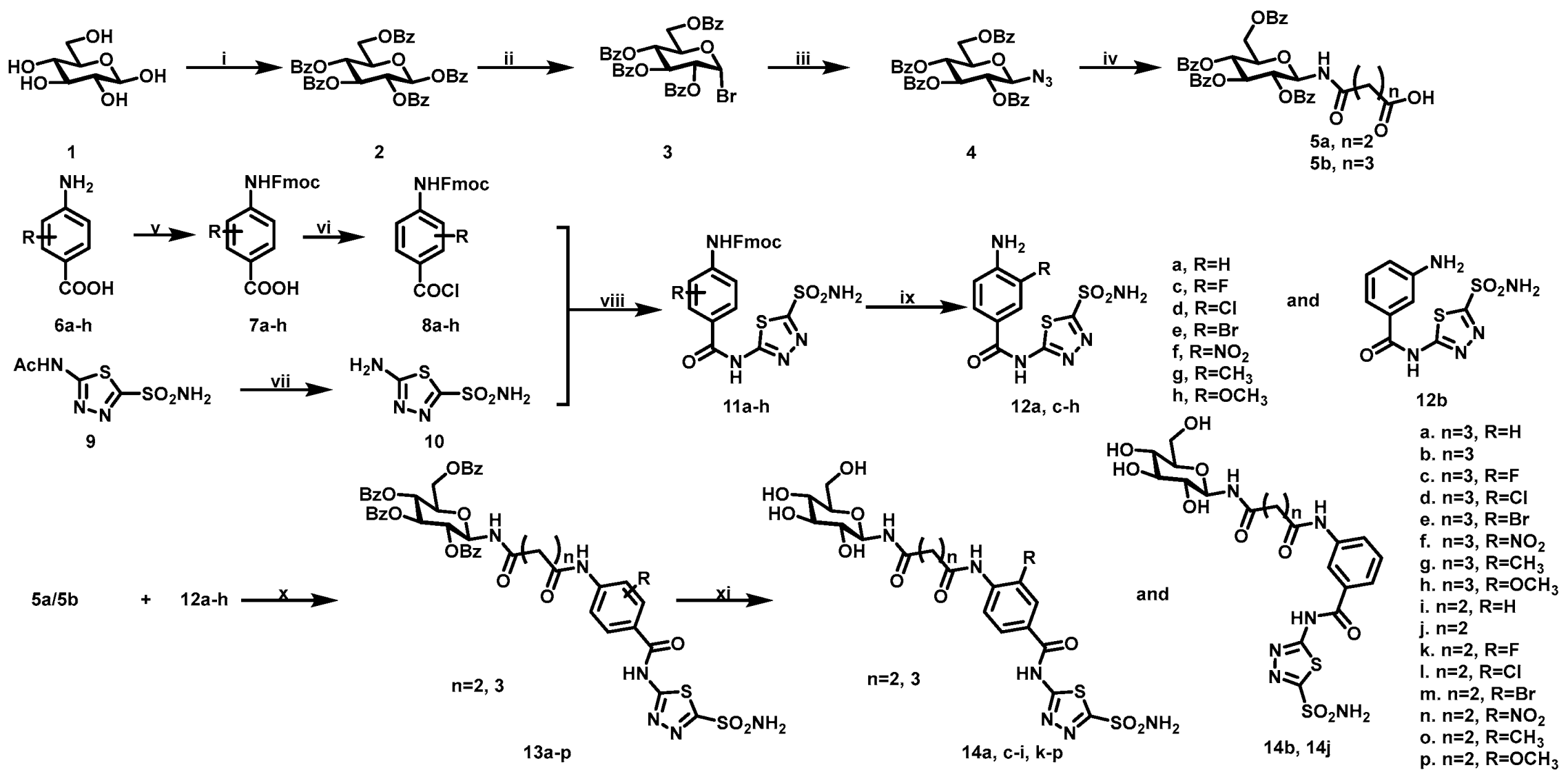 Ijms 22 05482 sch001 Ijms 22 05482 sch001
