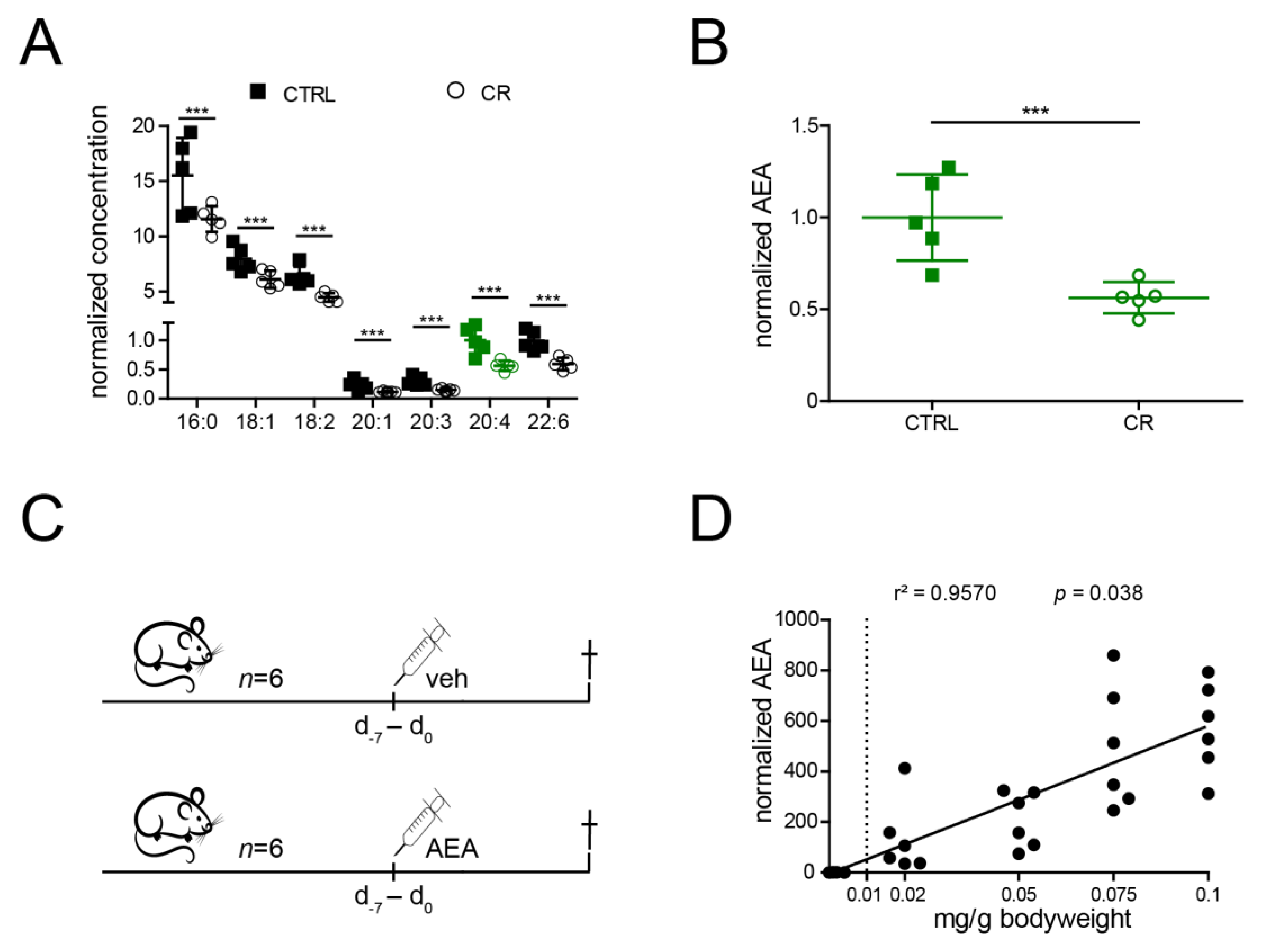 Ijms Free Full Text Modulation Of Endocannabinoids By Caloric Restriction Is Conserved In Mice But Is Not Required For Protection From Acute Kidney Injury Html