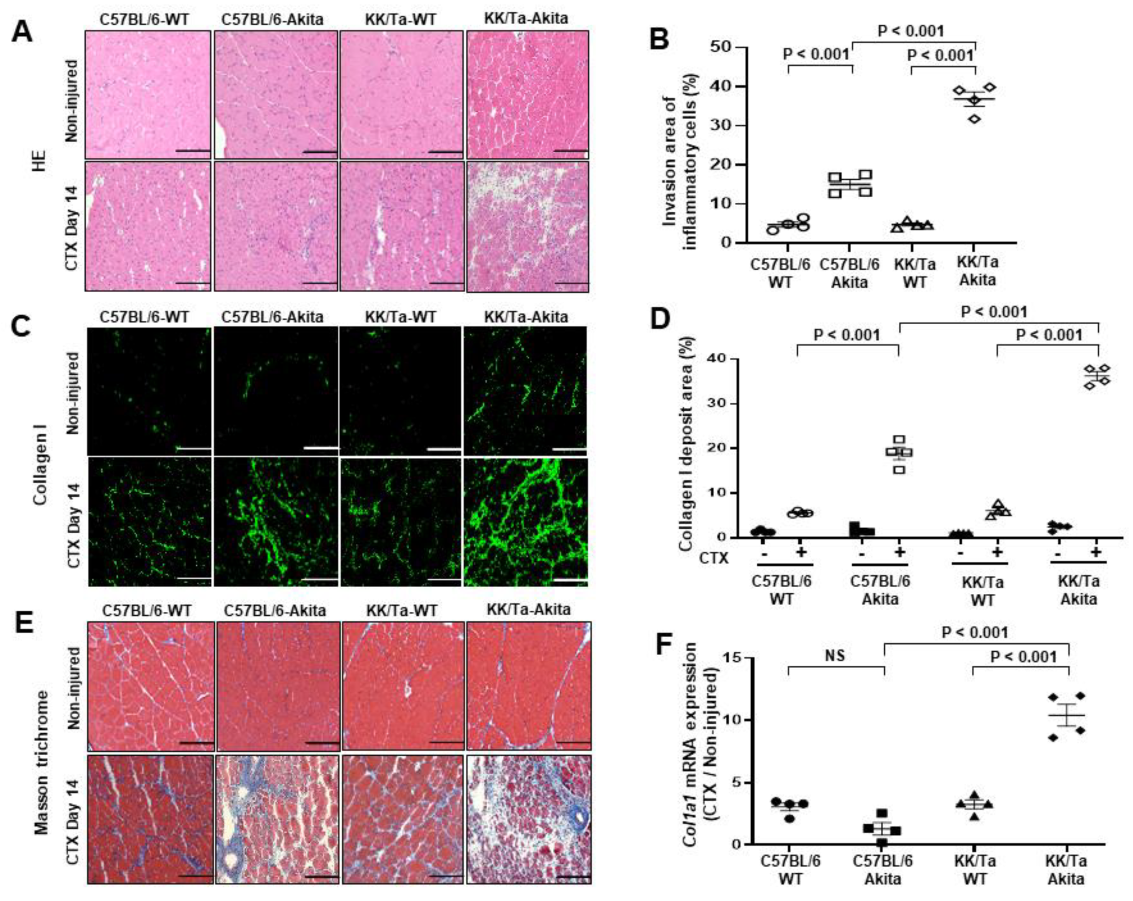 Ijms 22 05491 g002 Ijms 22 05491 g002