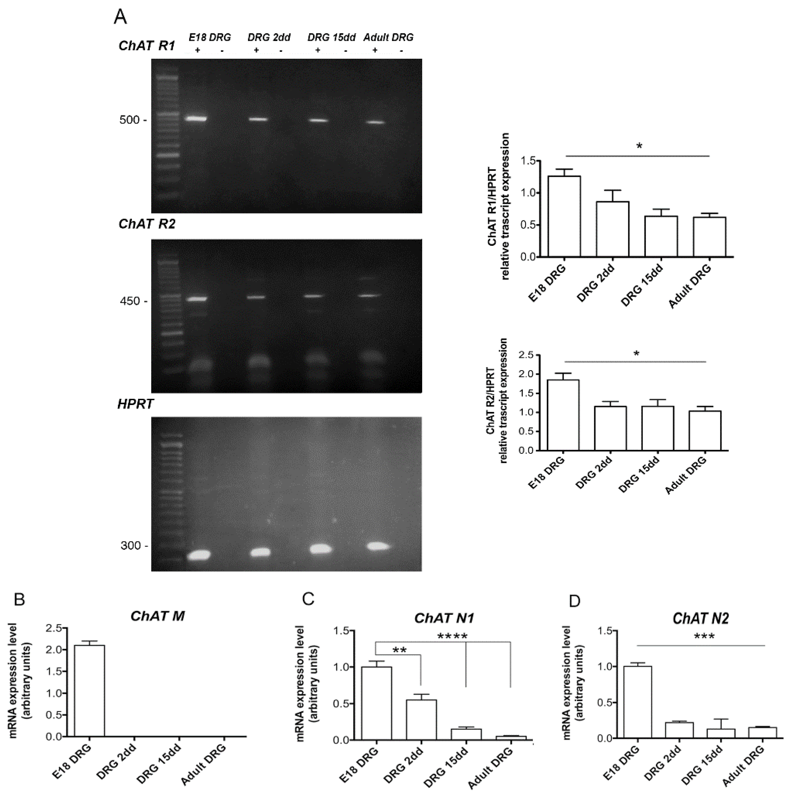 Ijms 22 05499 g004 Ijms 22 05499 g004