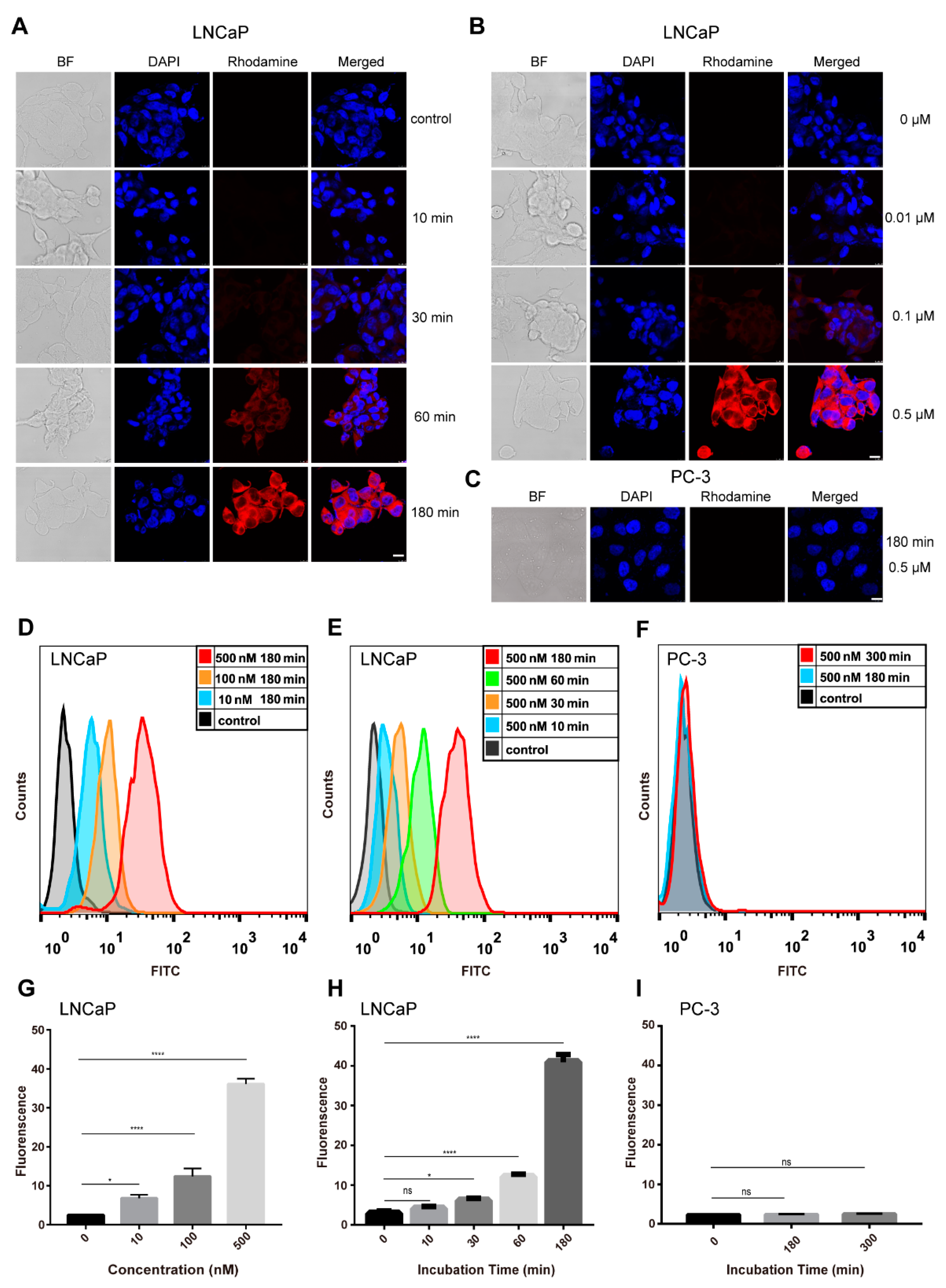 Ijms 22 05501 g004 Ijms 22 05501 g004