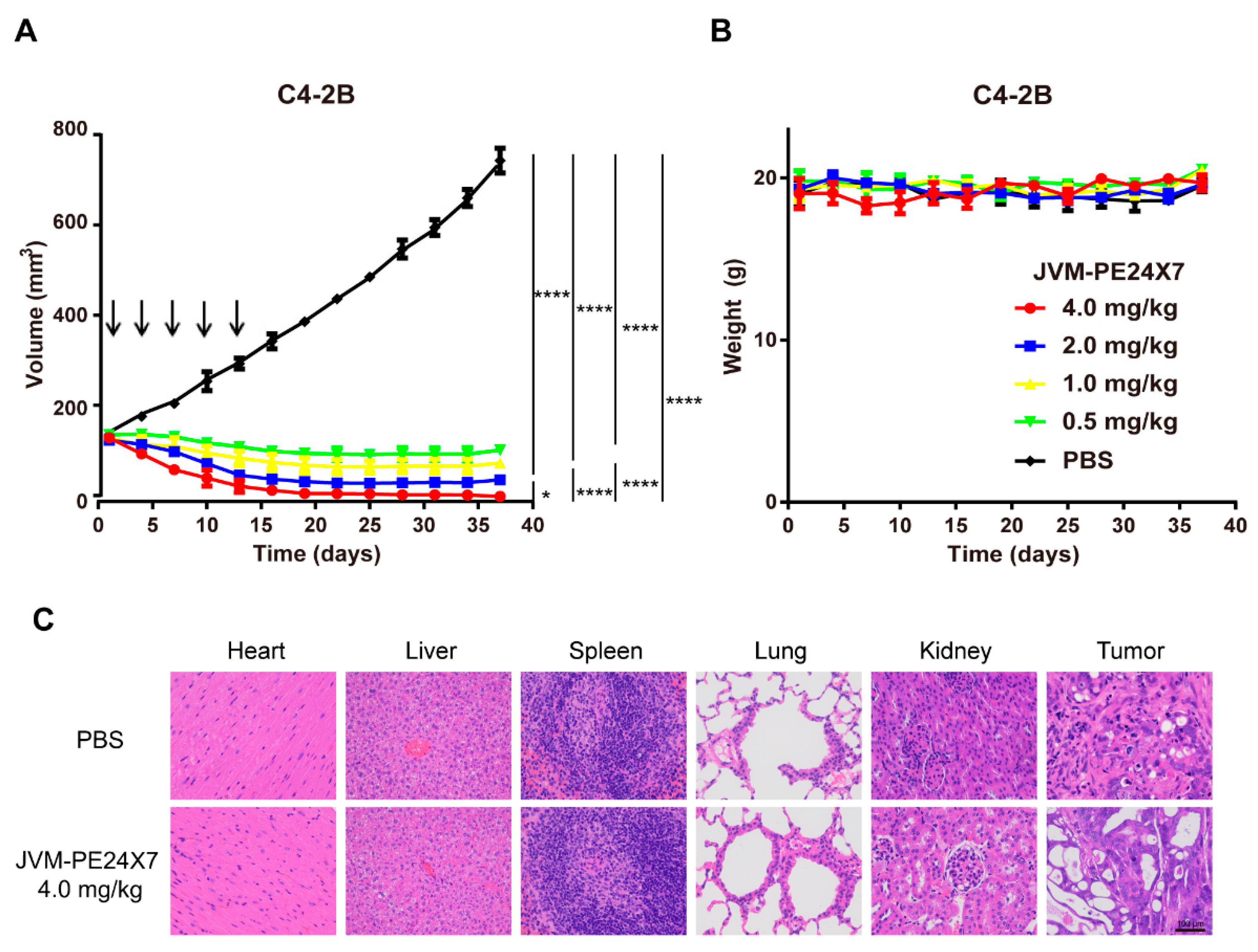 Ijms 22 05501 g008 Ijms 22 05501 g008