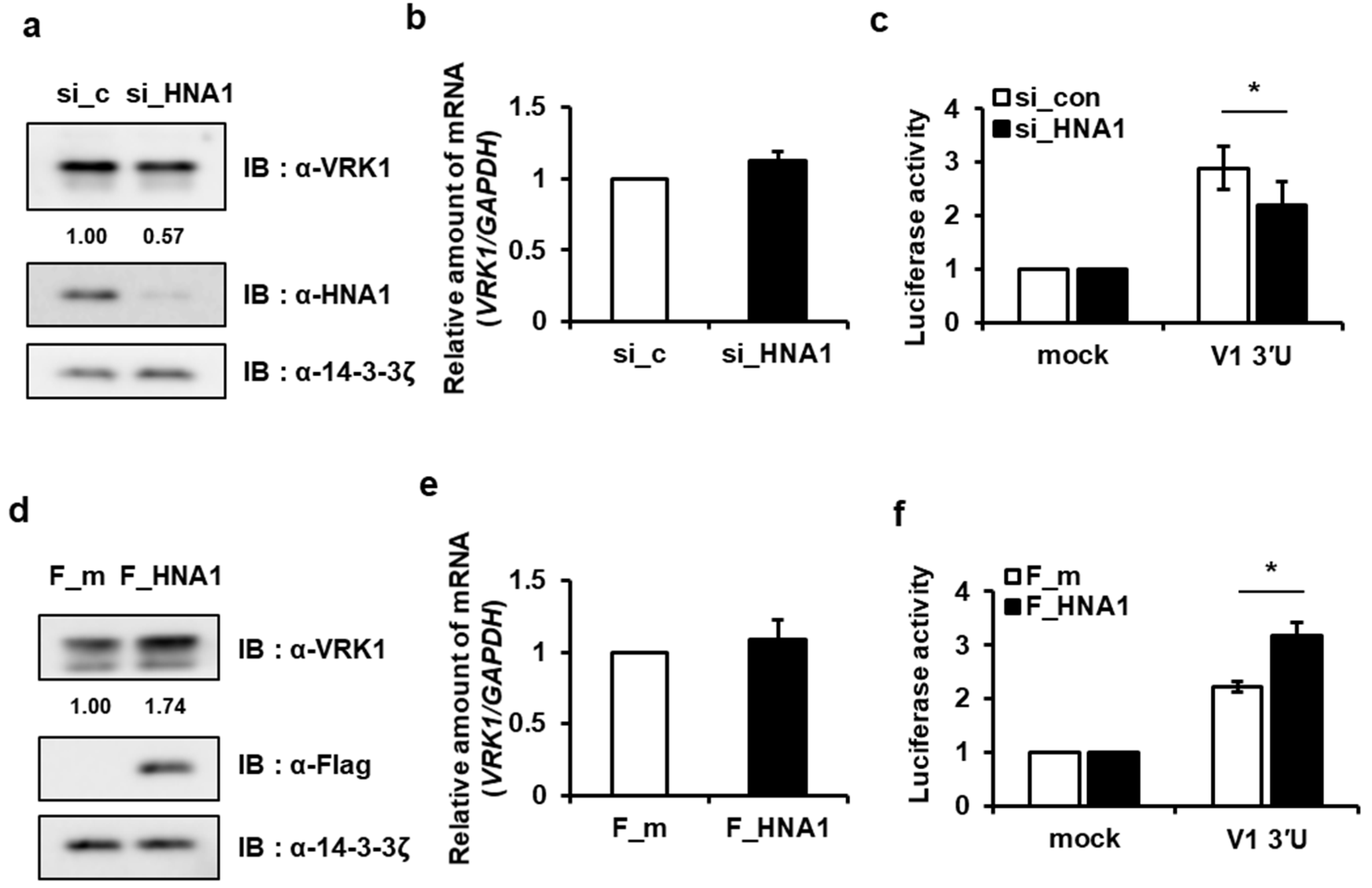 Ijms 22 05506 g002 Ijms 22 05506 g002