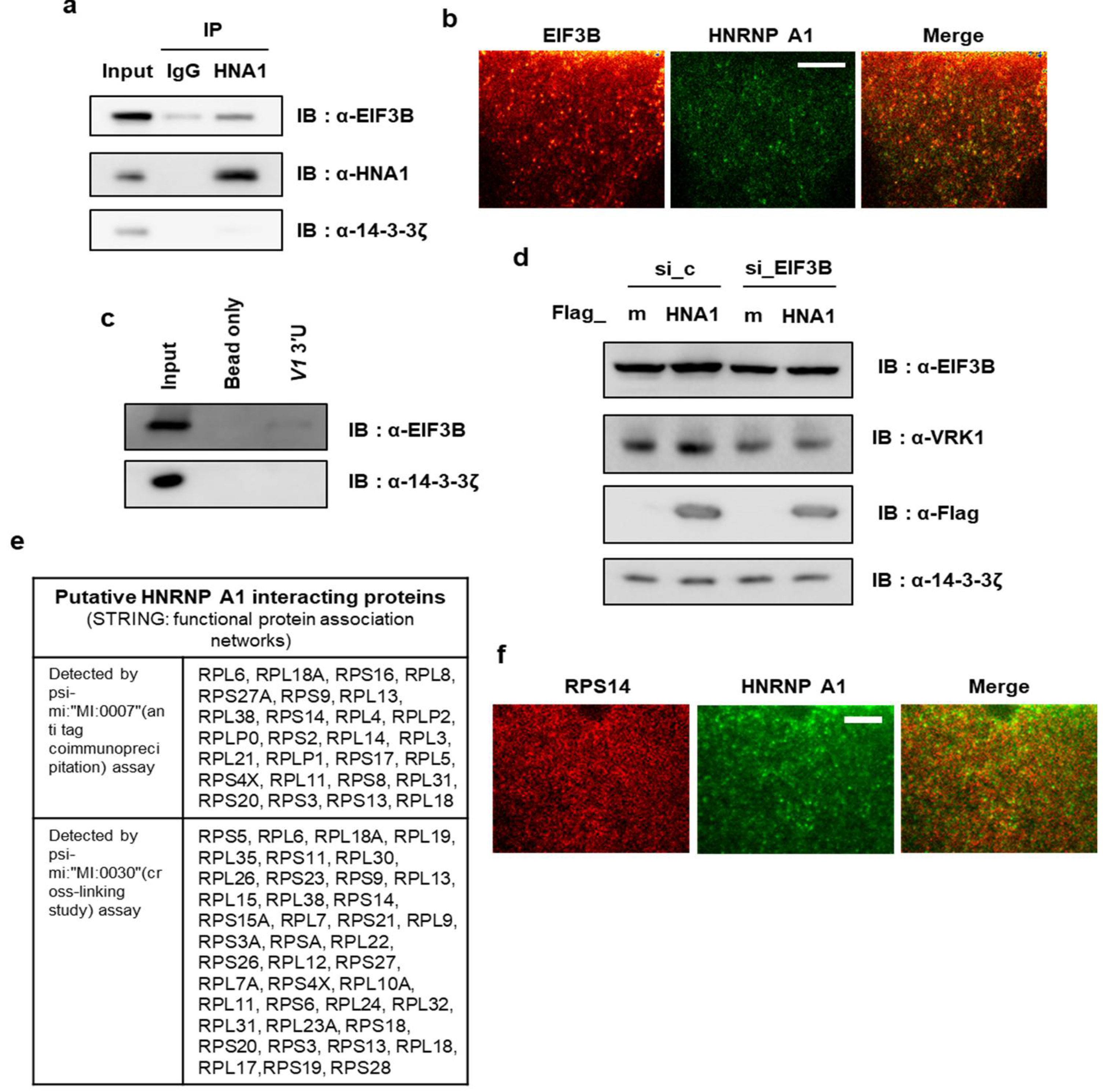 Ijms 22 05506 g005 Ijms 22 05506 g005