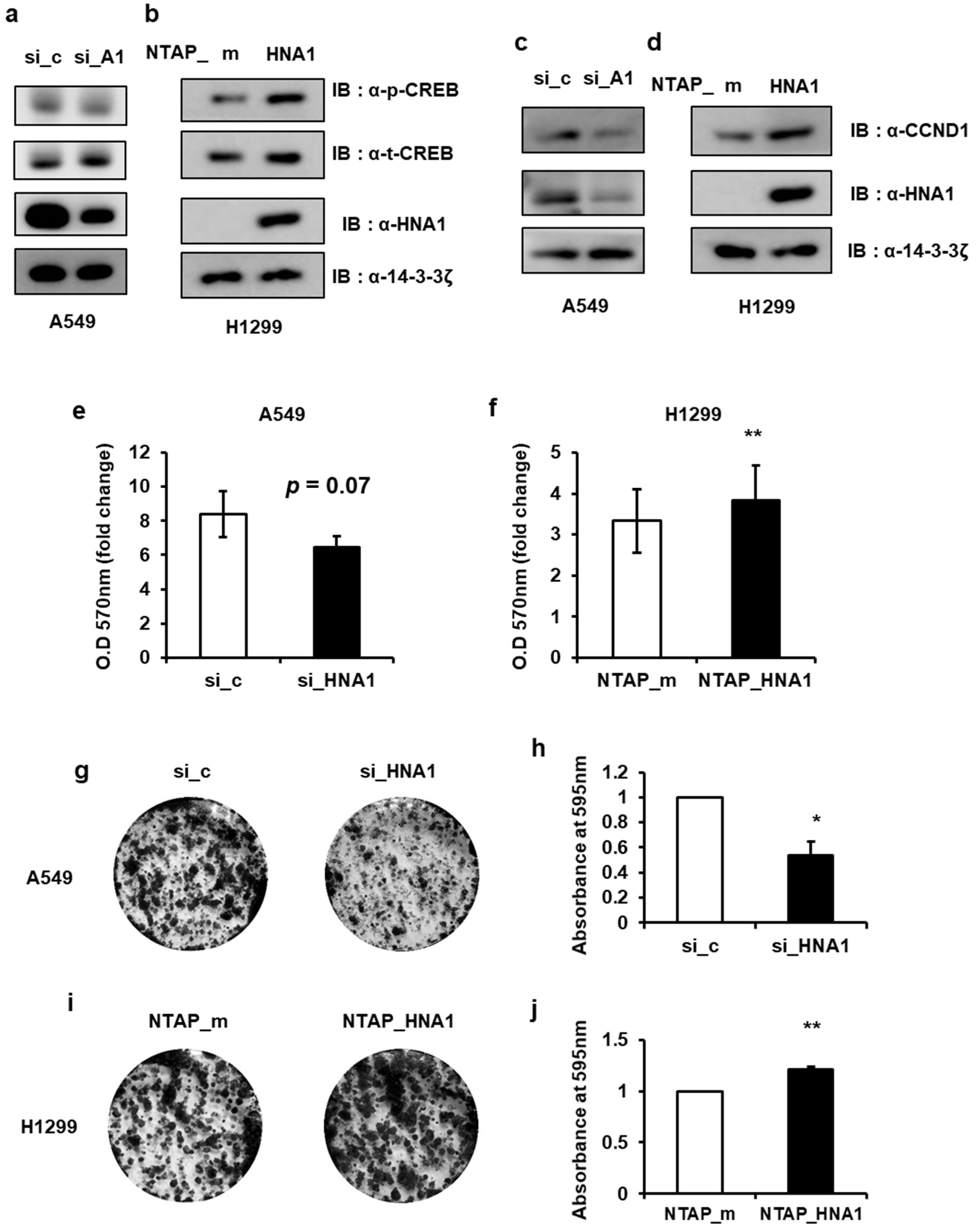 Ijms 22 05506 g006 Ijms 22 05506 g006