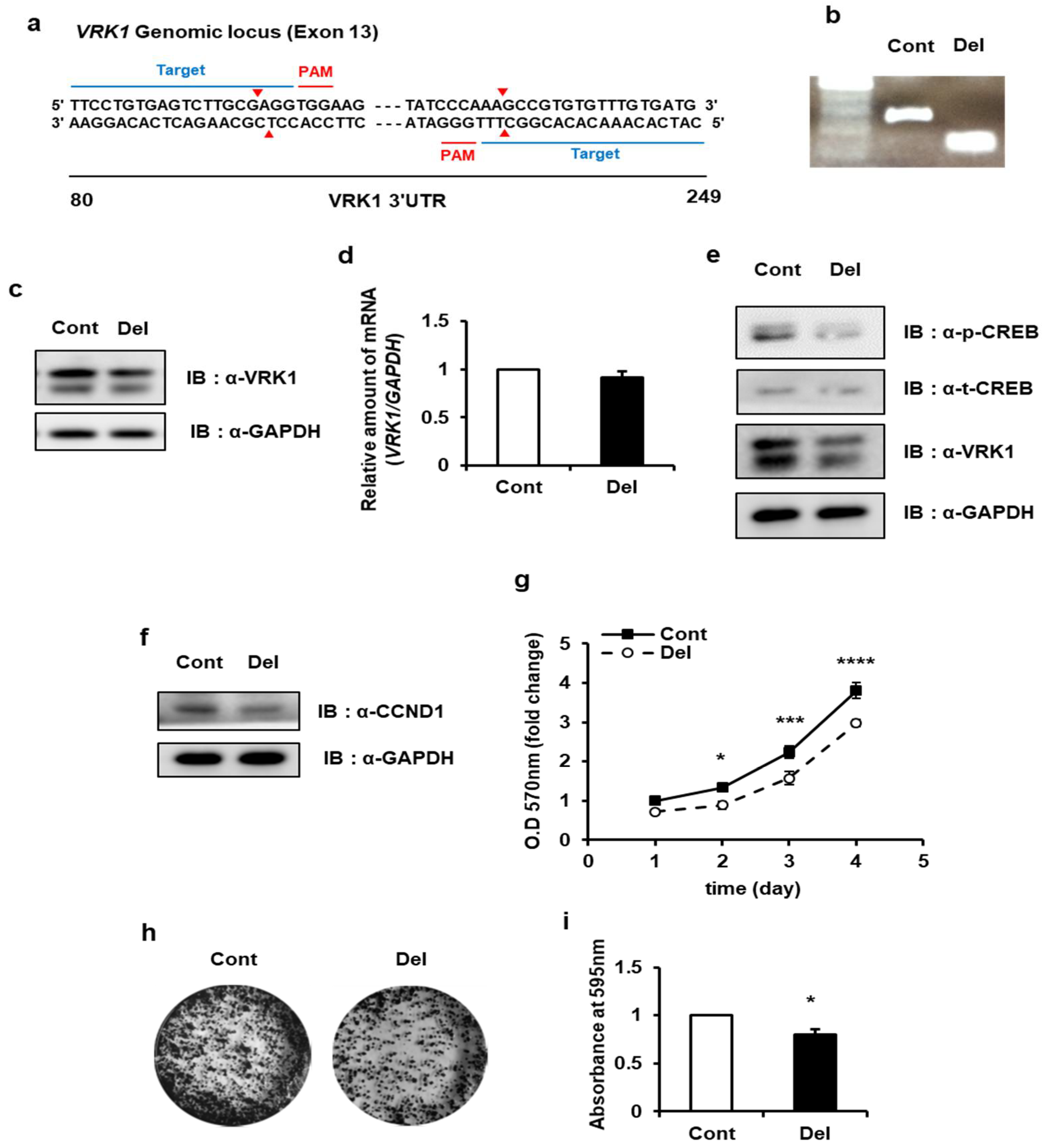 Ijms 22 05506 g007 Ijms 22 05506 g007