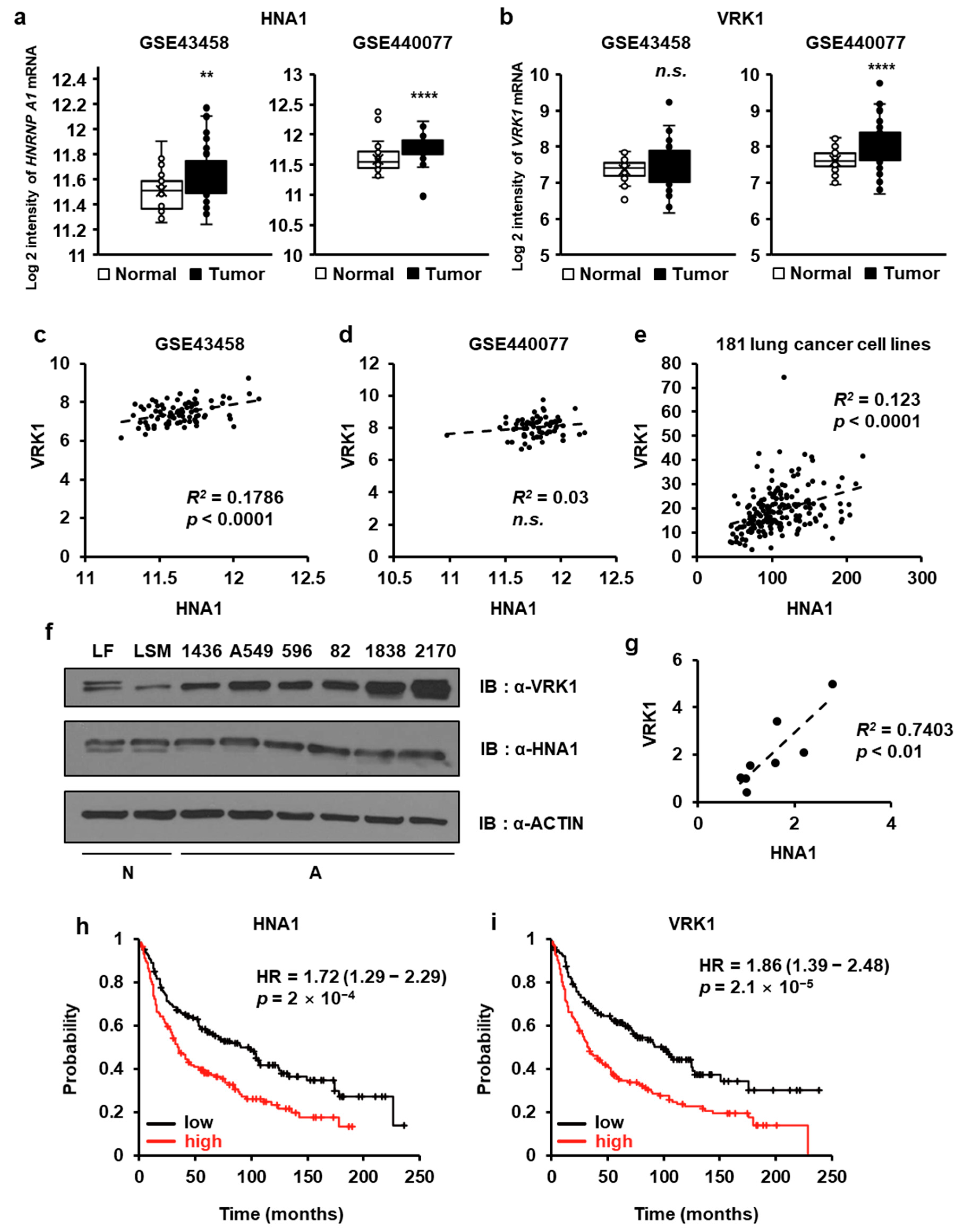 Ijms 22 05506 g008 Ijms 22 05506 g008