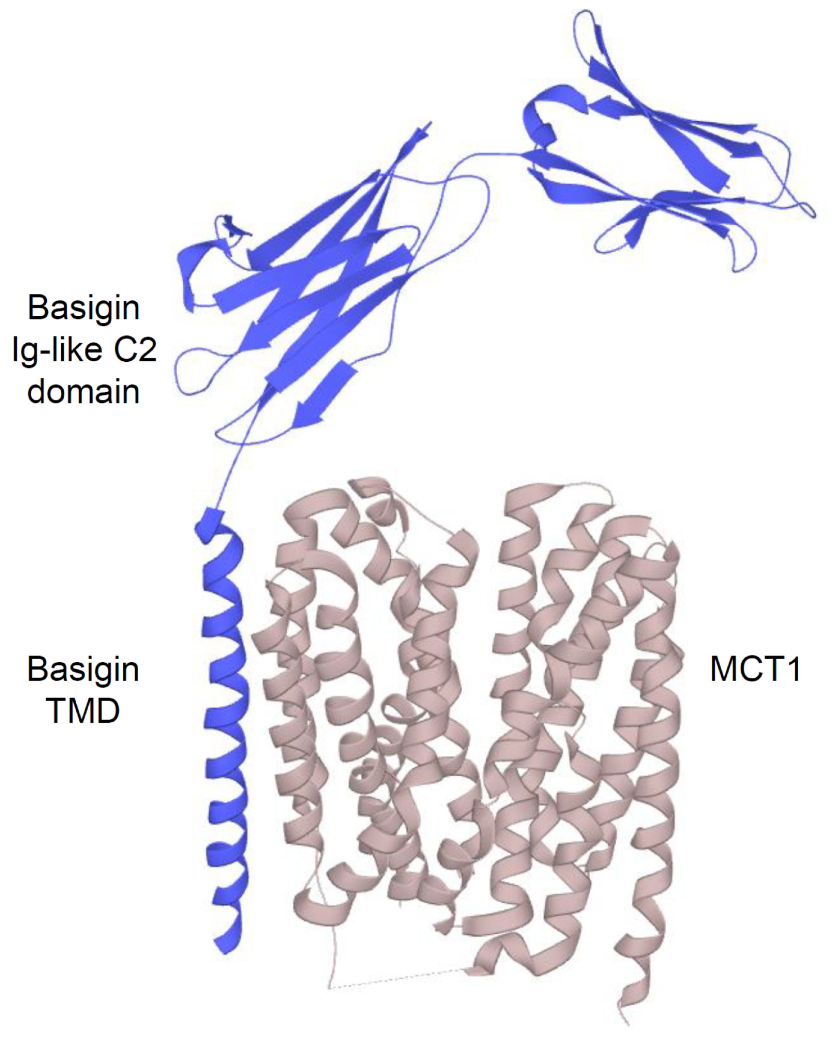 Ijms 22 05518 g002