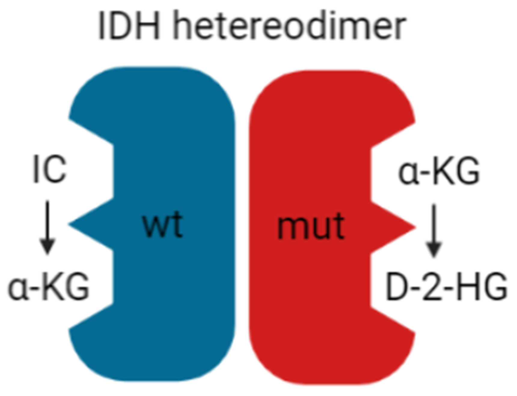 Ijms 22 05518 g004