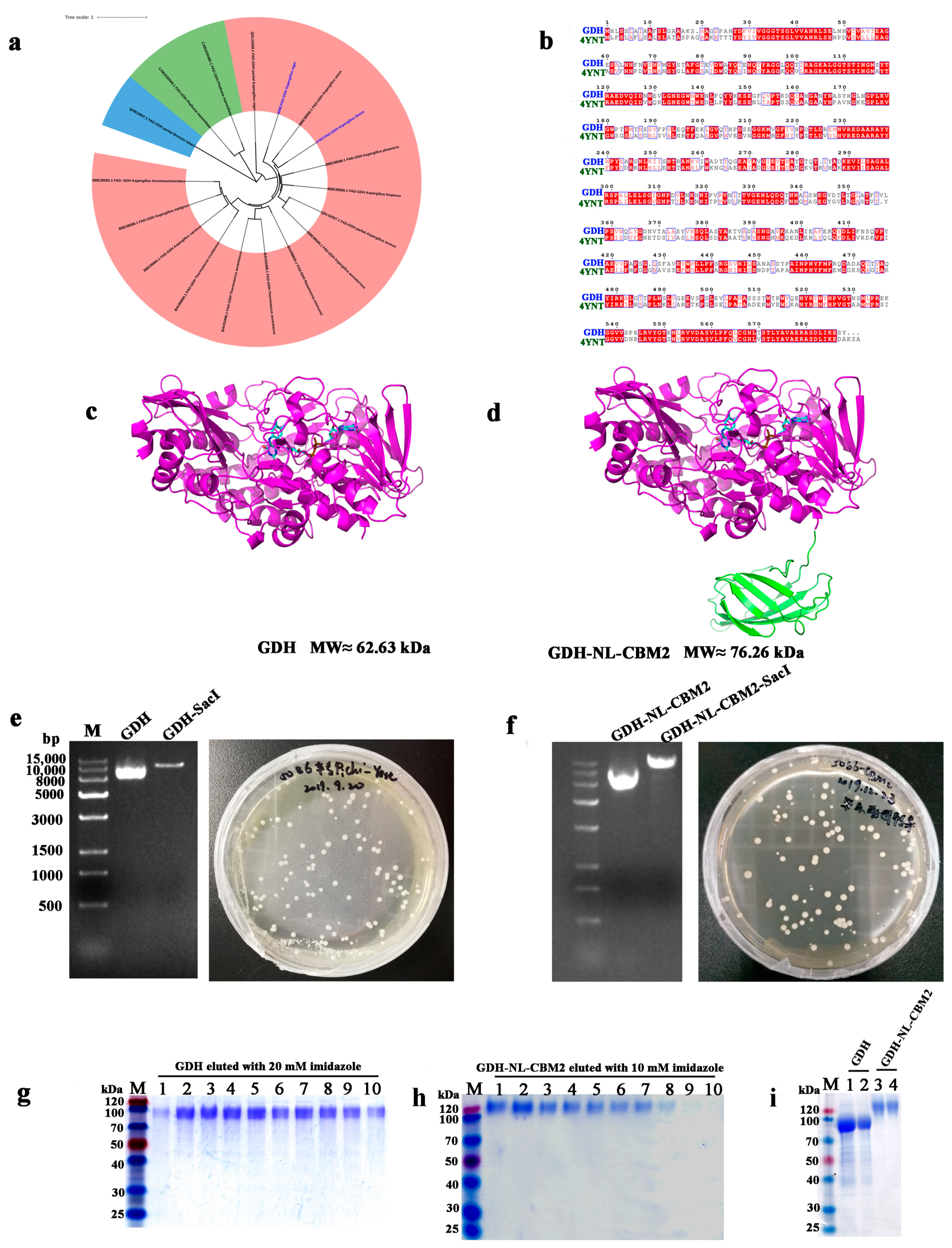 Ijms 22 05529 g001 Ijms 22 05529 g001