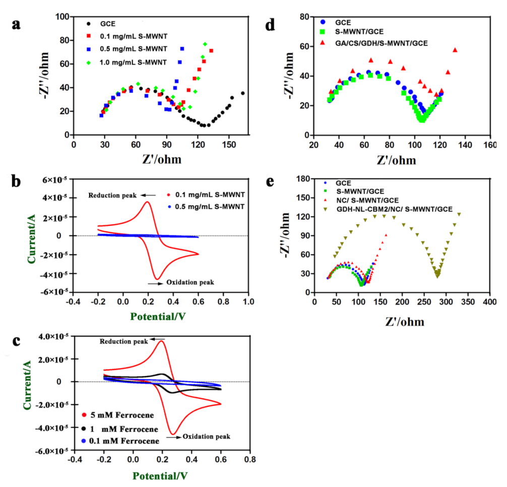 Ijms 22 05529 g004 Ijms 22 05529 g004
