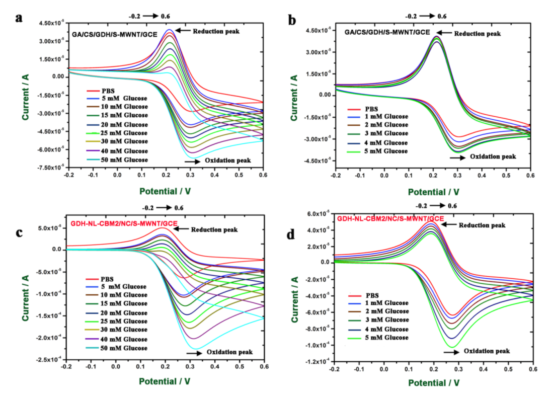 Ijms 22 05529 g005 Ijms 22 05529 g005