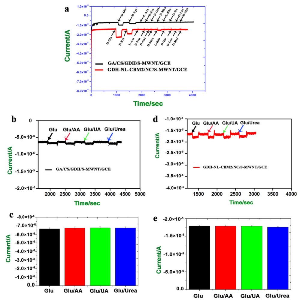 Ijms 22 05529 g007 Ijms 22 05529 g007