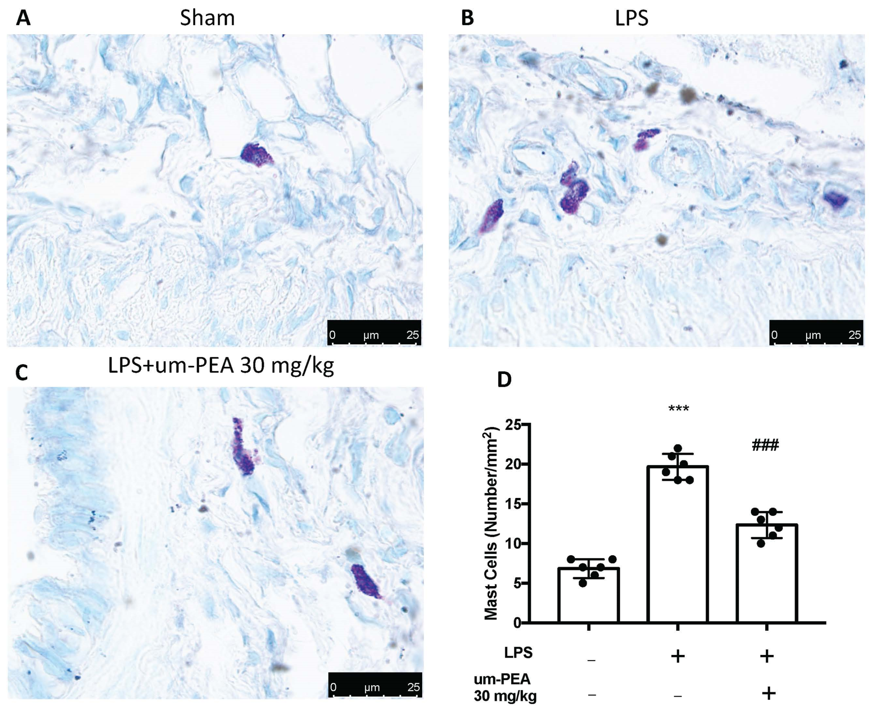 Ijms 22 05533 g003 Ijms 22 05533 g003