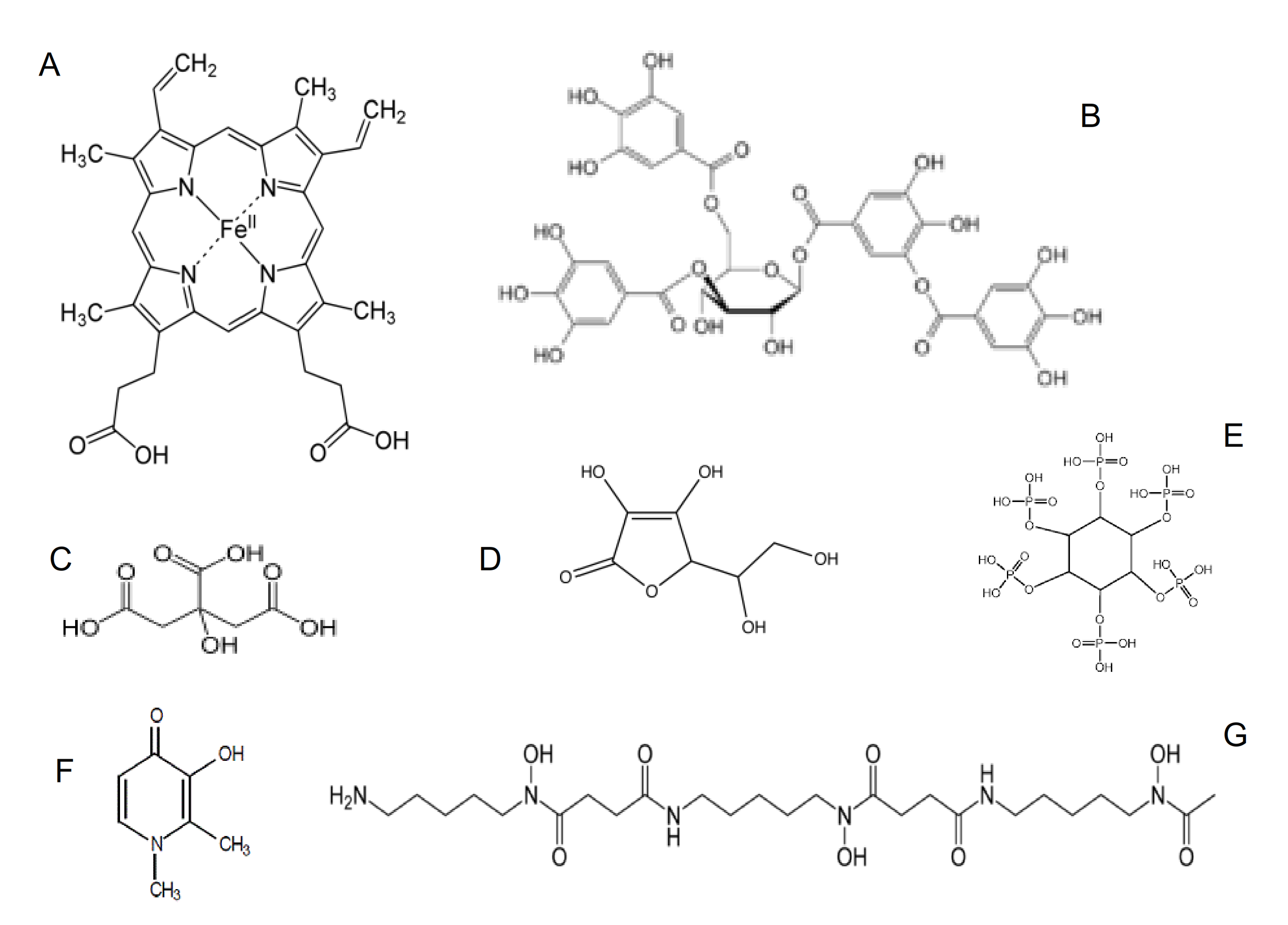 Ijms 22 05546 g002 Ijms 22 05546 g002