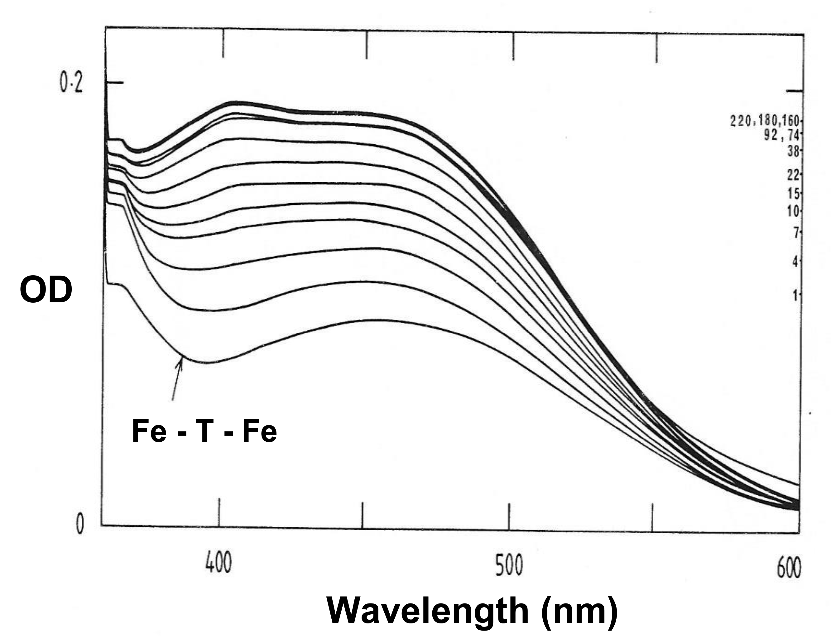 Ijms 22 05546 g005 Ijms 22 05546 g005
