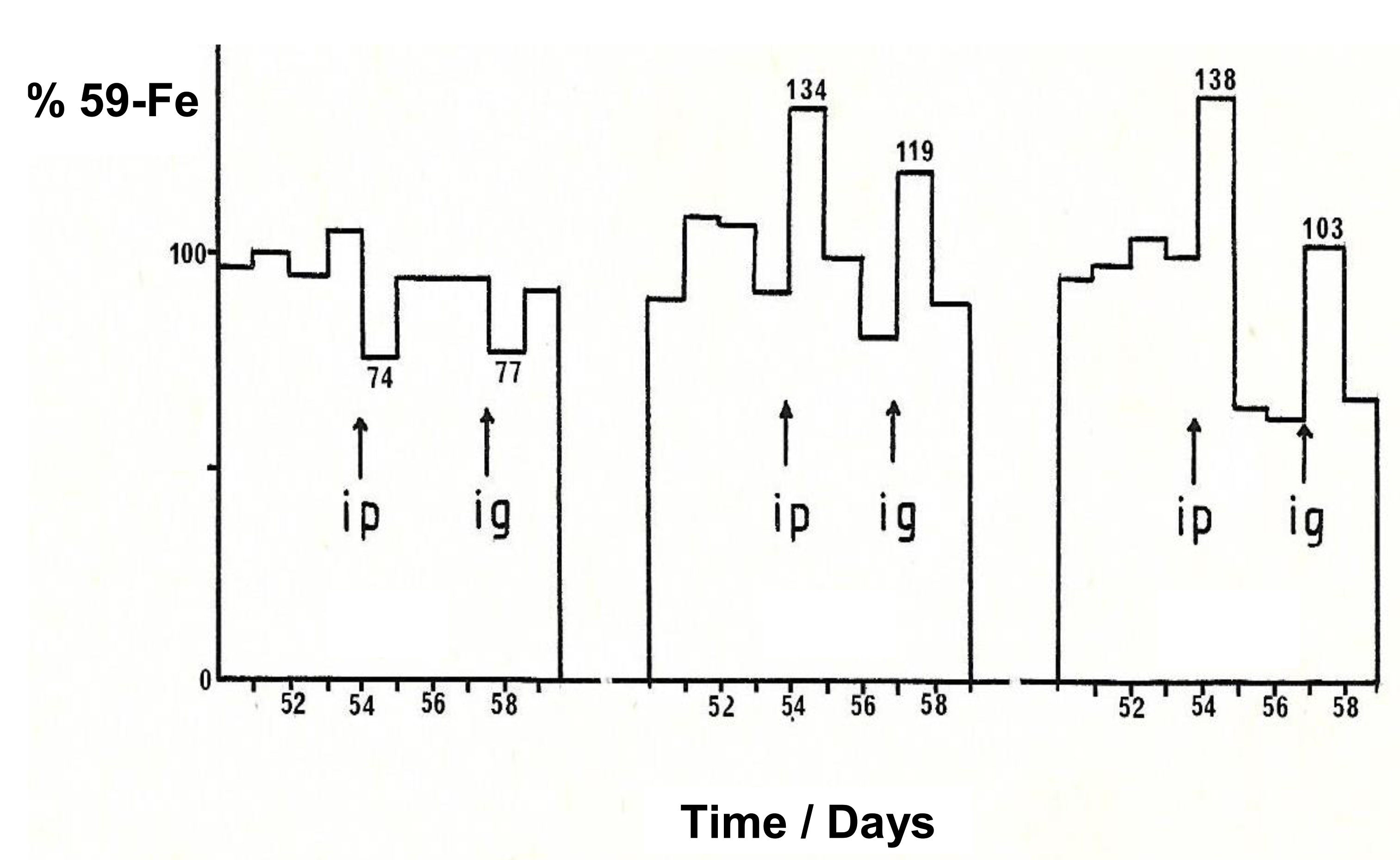 Ijms 22 05546 g007 Ijms 22 05546 g007