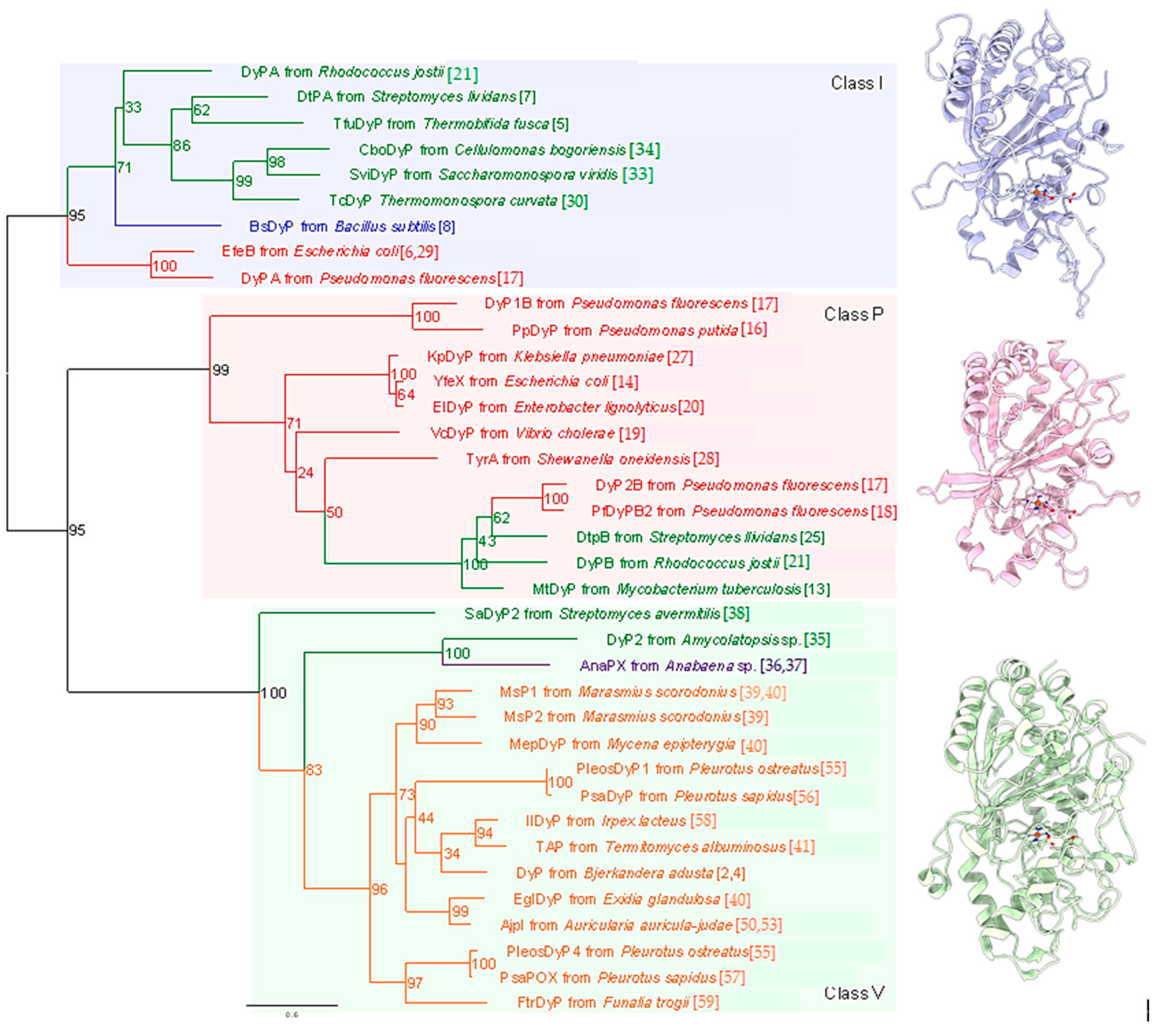 Ijms 22 05556 g001 Ijms 22 05556 g001