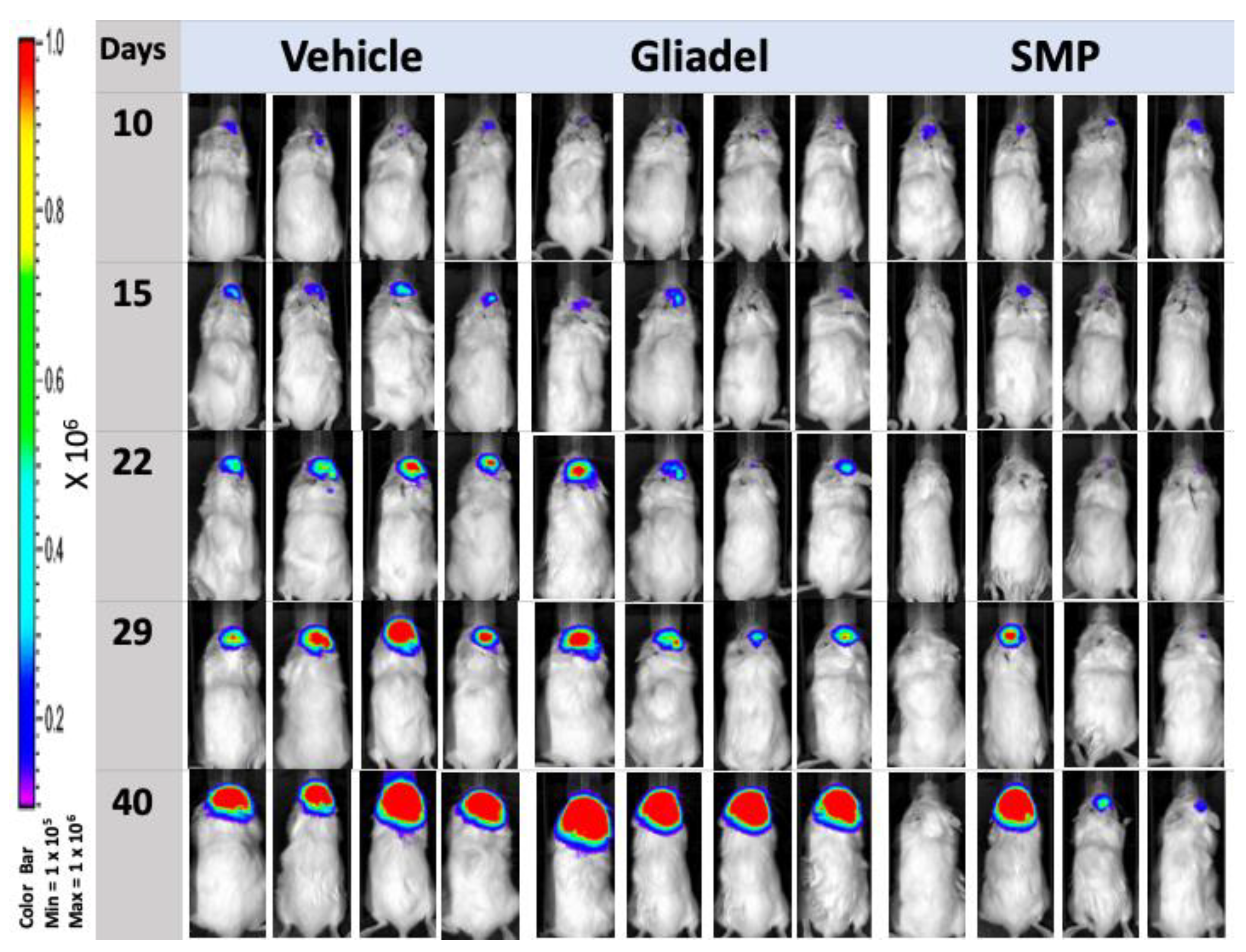 Ijms 22 05557 g004 Ijms 22 05557 g004