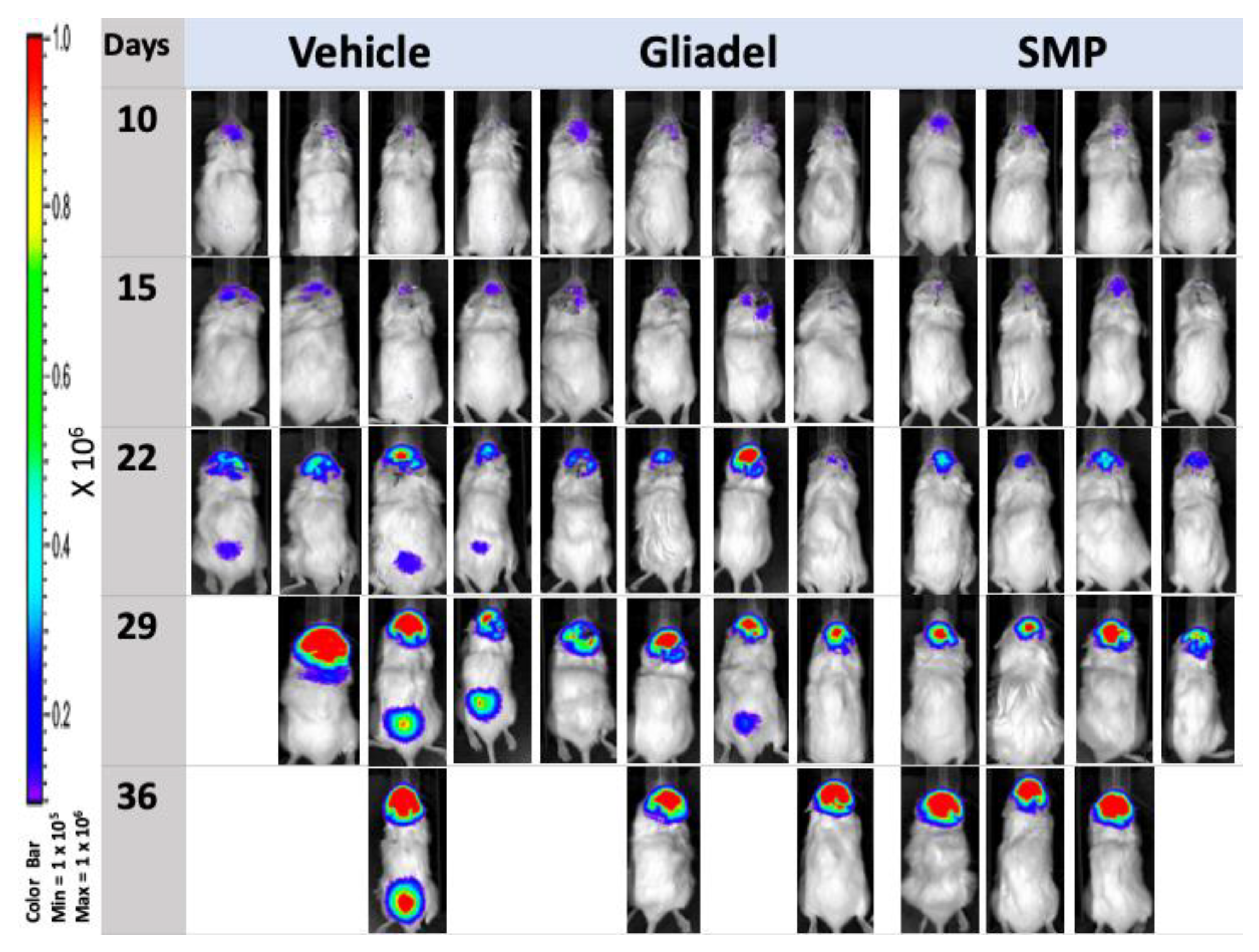 Ijms 22 05557 g005 Ijms 22 05557 g005