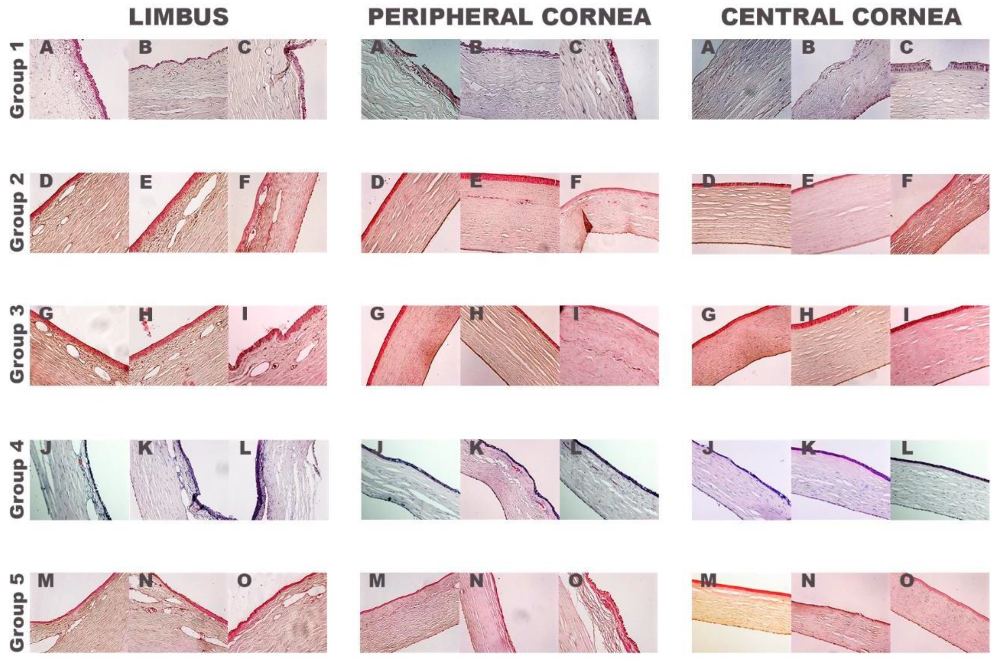 Ijms 22 05564 g004 Ijms 22 05564 g004