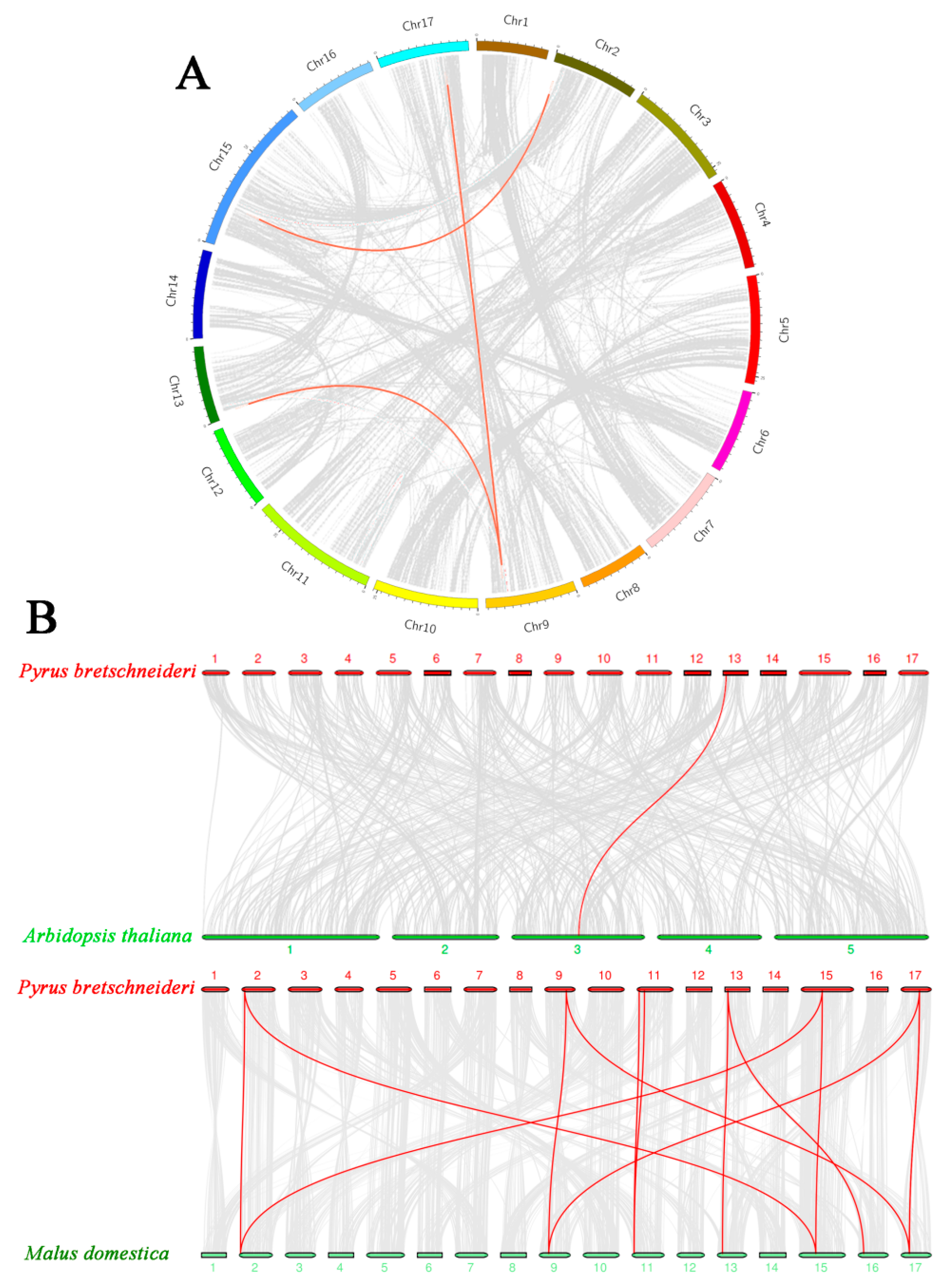 Ijms 22 05567 g004 Ijms 22 05567 g004