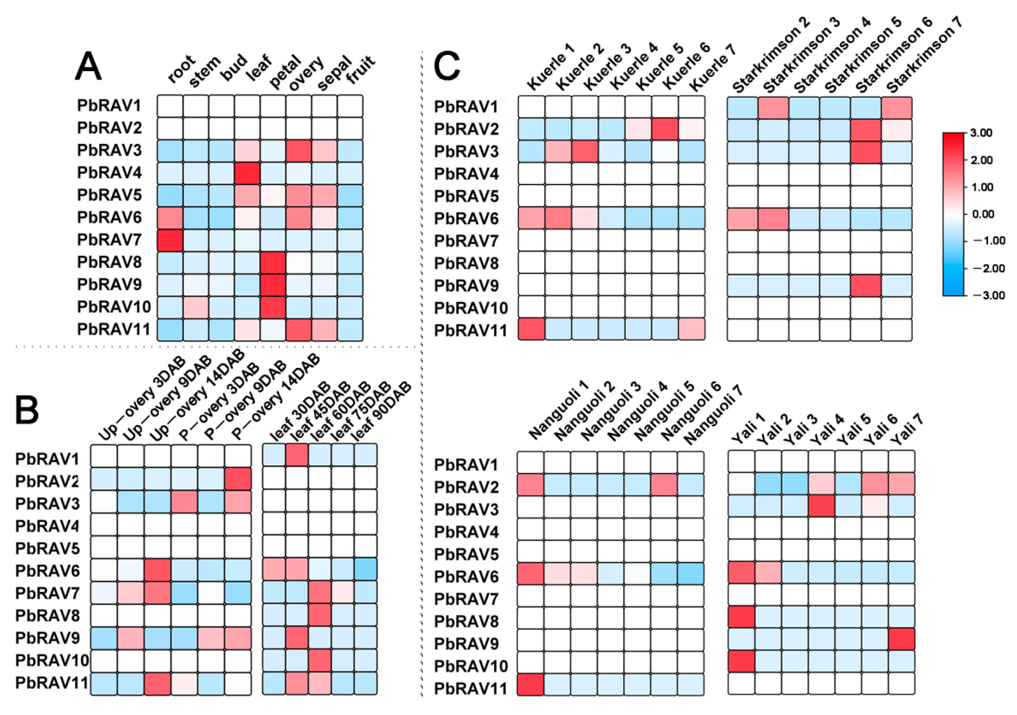 Ijms 22 05567 g005 Ijms 22 05567 g005