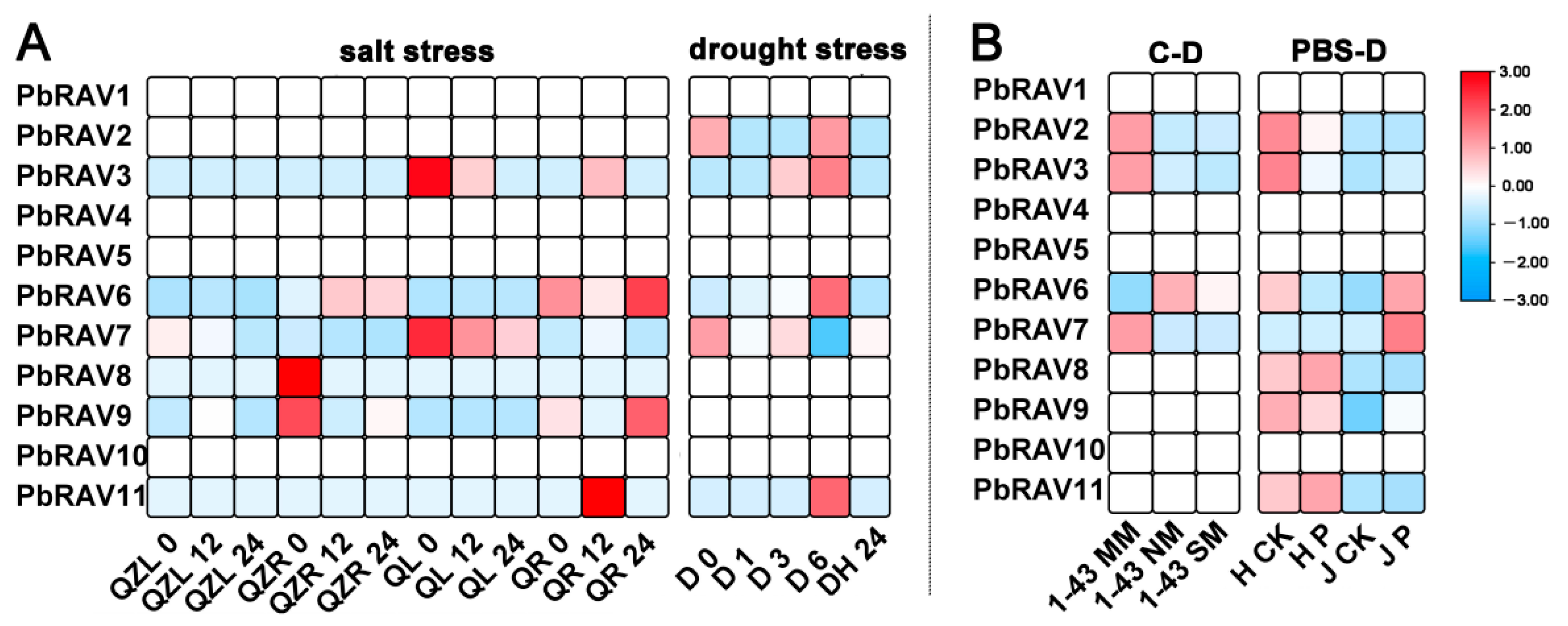 Ijms 22 05567 g006 Ijms 22 05567 g006
