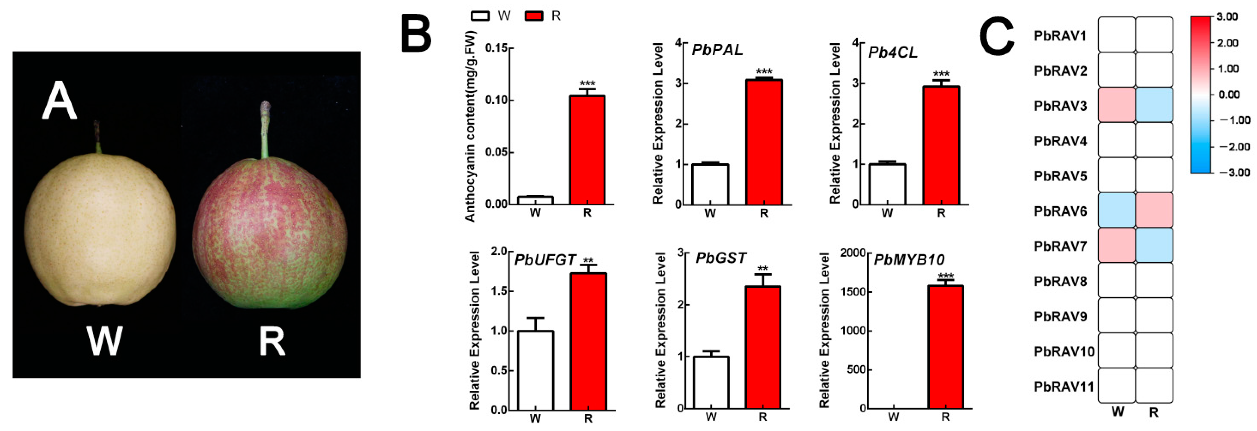 Ijms 22 05567 g007 Ijms 22 05567 g007