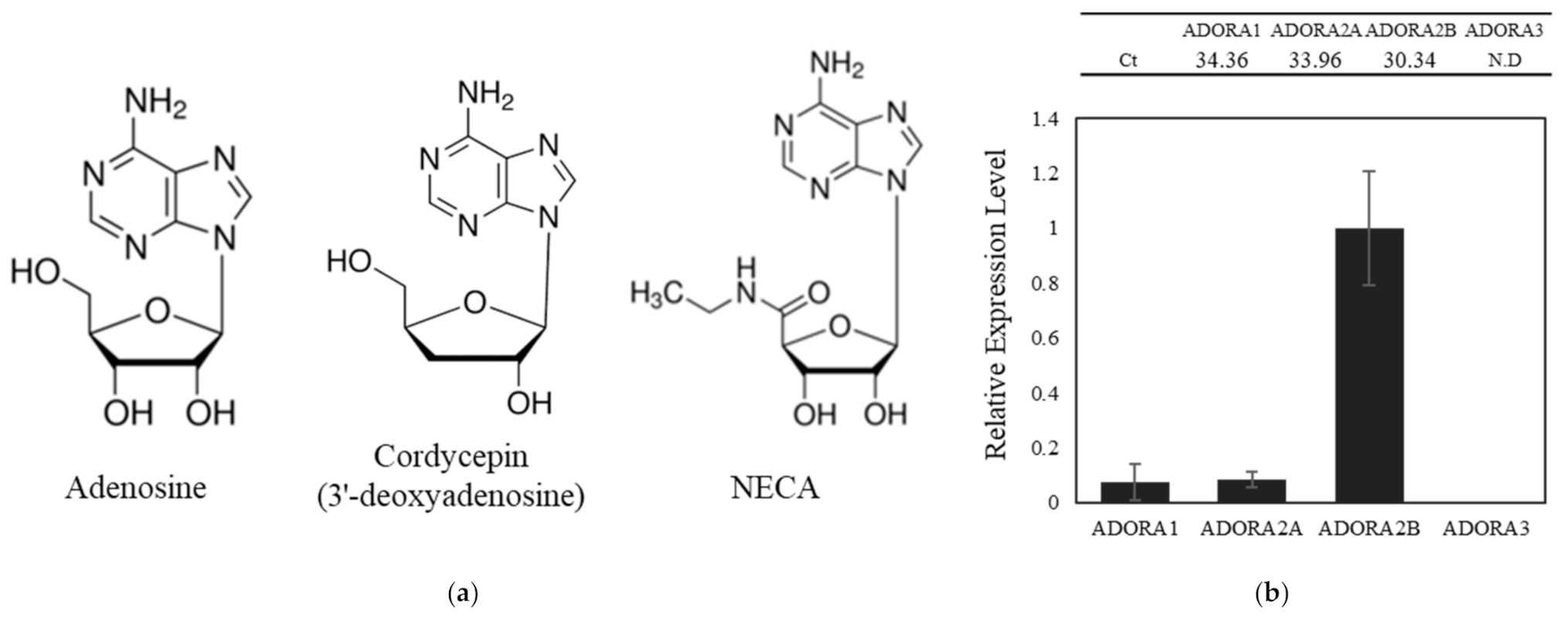 Ijms 22 05571 g001 Ijms 22 05571 g001