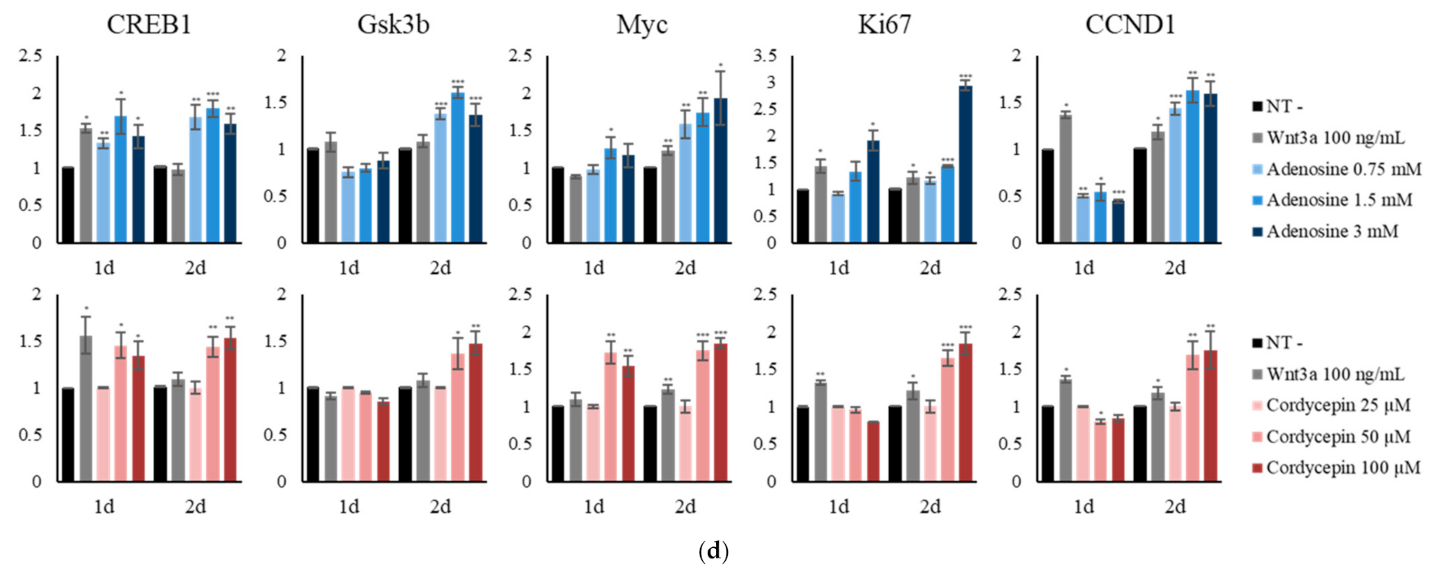 Ijms 22 05571 g003b Ijms 22 05571 g003b