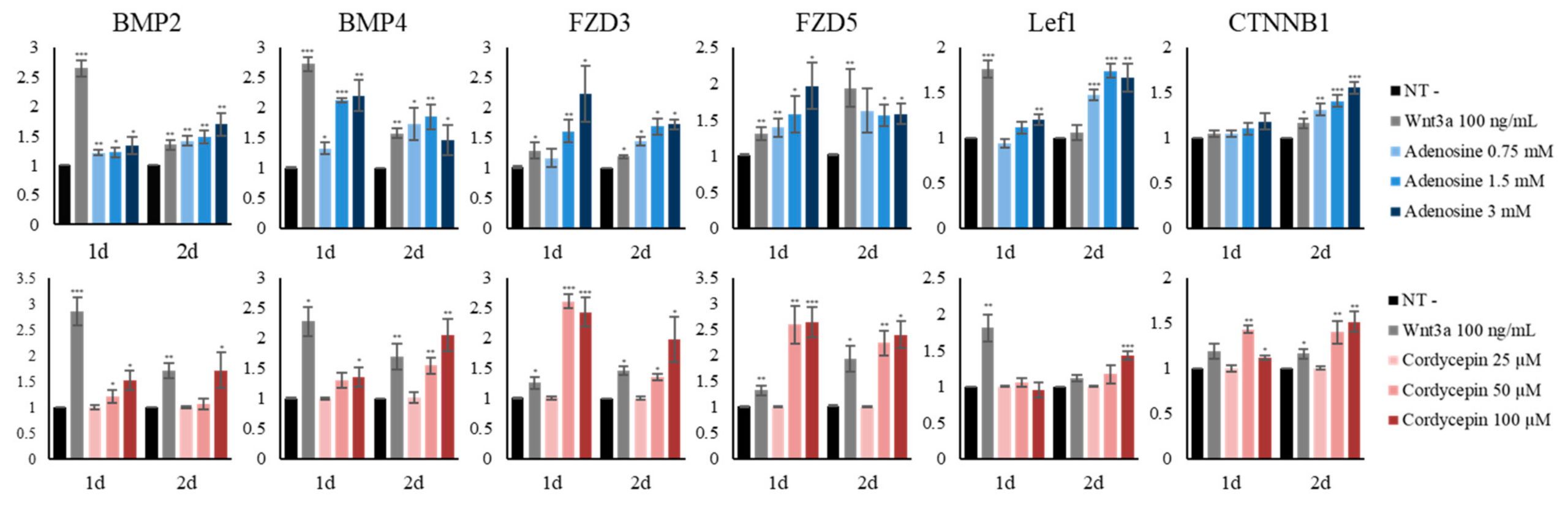 Ijms 22 05571 g005 Ijms 22 05571 g005
