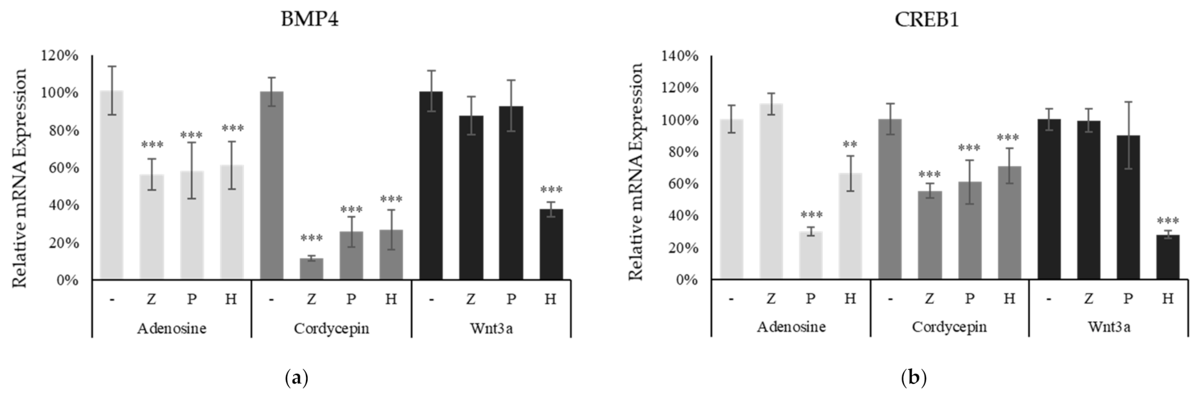 Ijms 22 05571 g007 Ijms 22 05571 g007