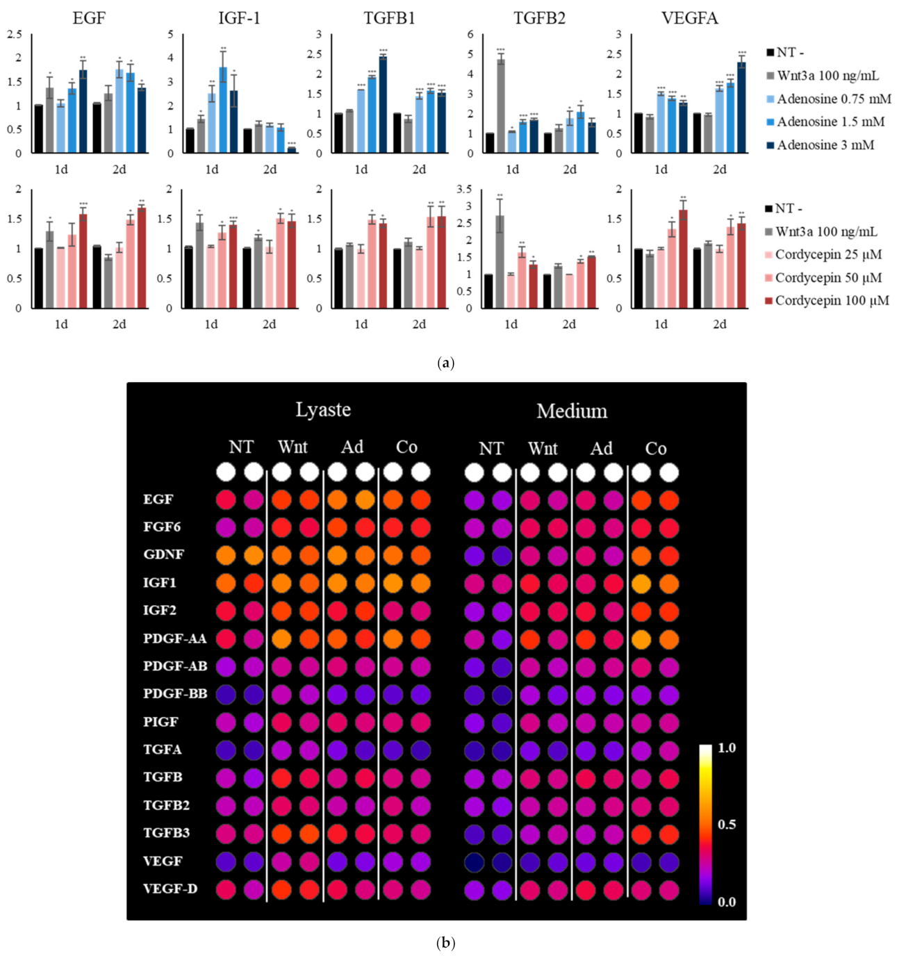 Ijms 22 05571 g008a Ijms 22 05571 g008a