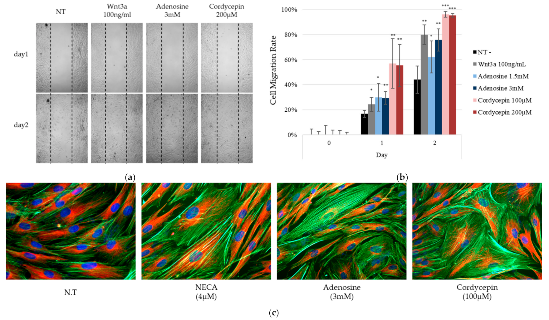 Ijms 22 05571 g009 Ijms 22 05571 g009