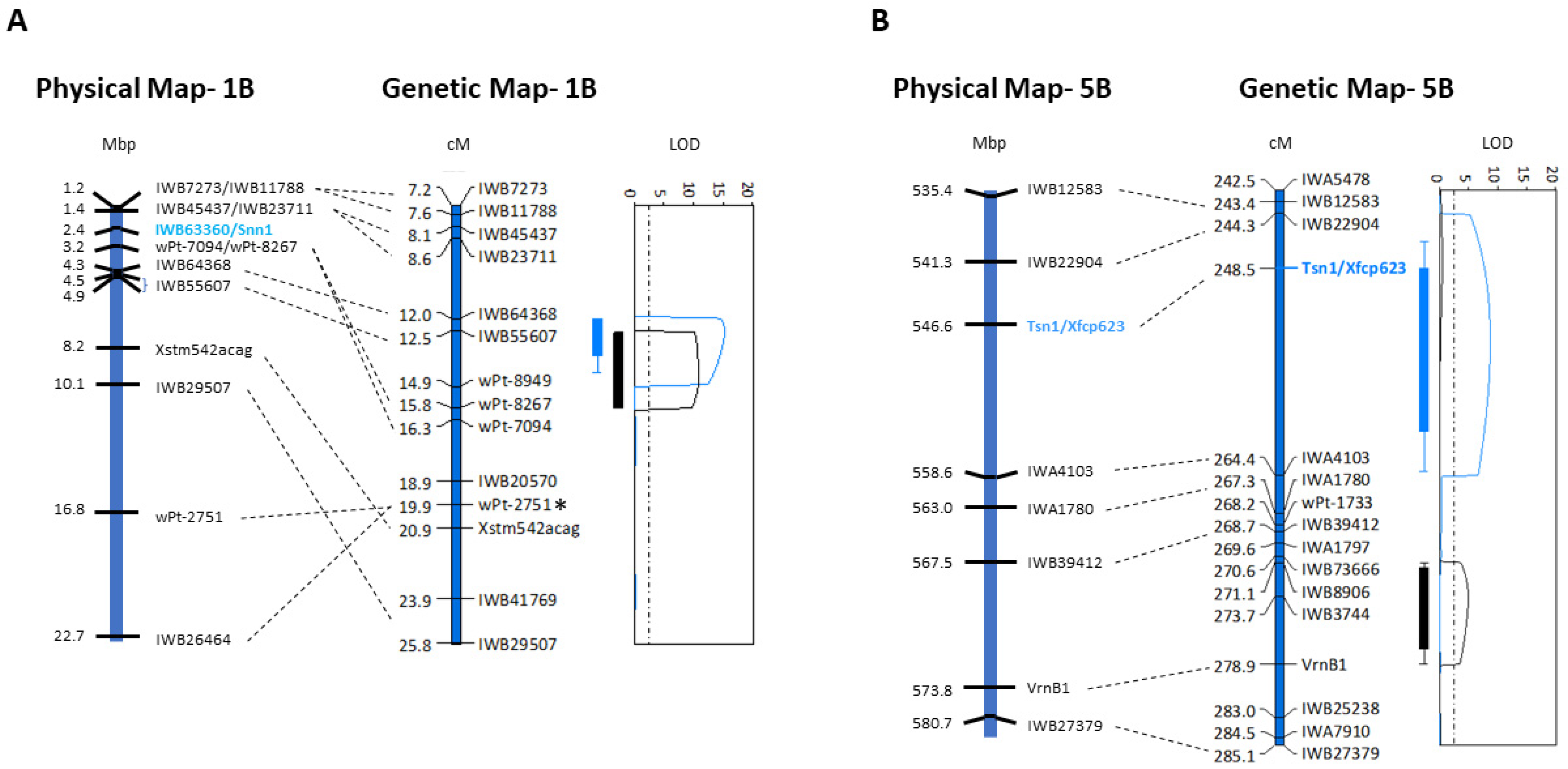 Ijms 22 05580 g001 Ijms 22 05580 g001