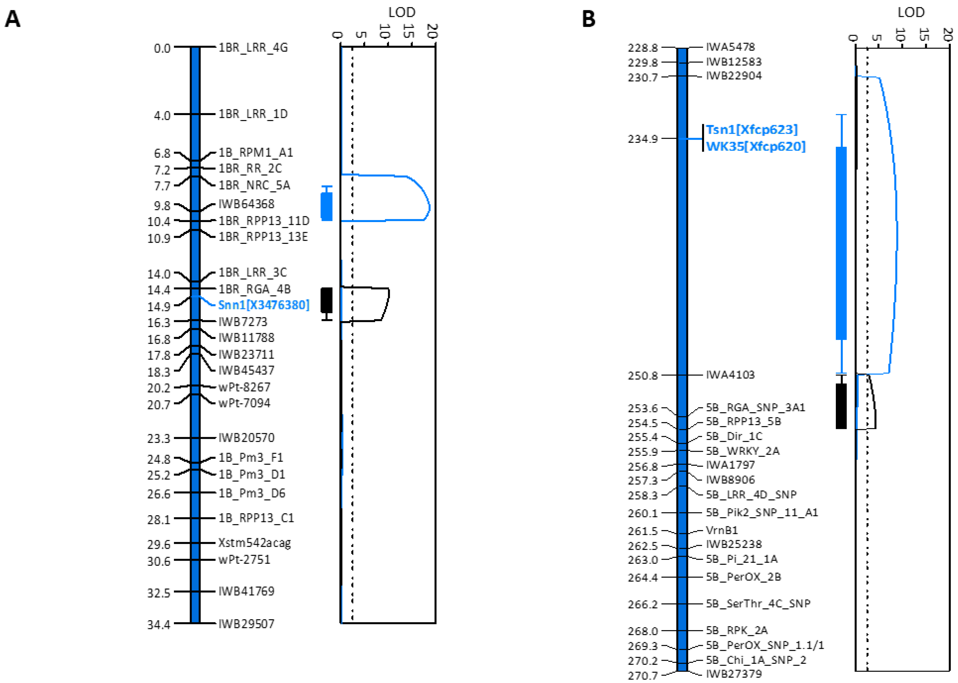 Ijms 22 05580 g002 Ijms 22 05580 g002