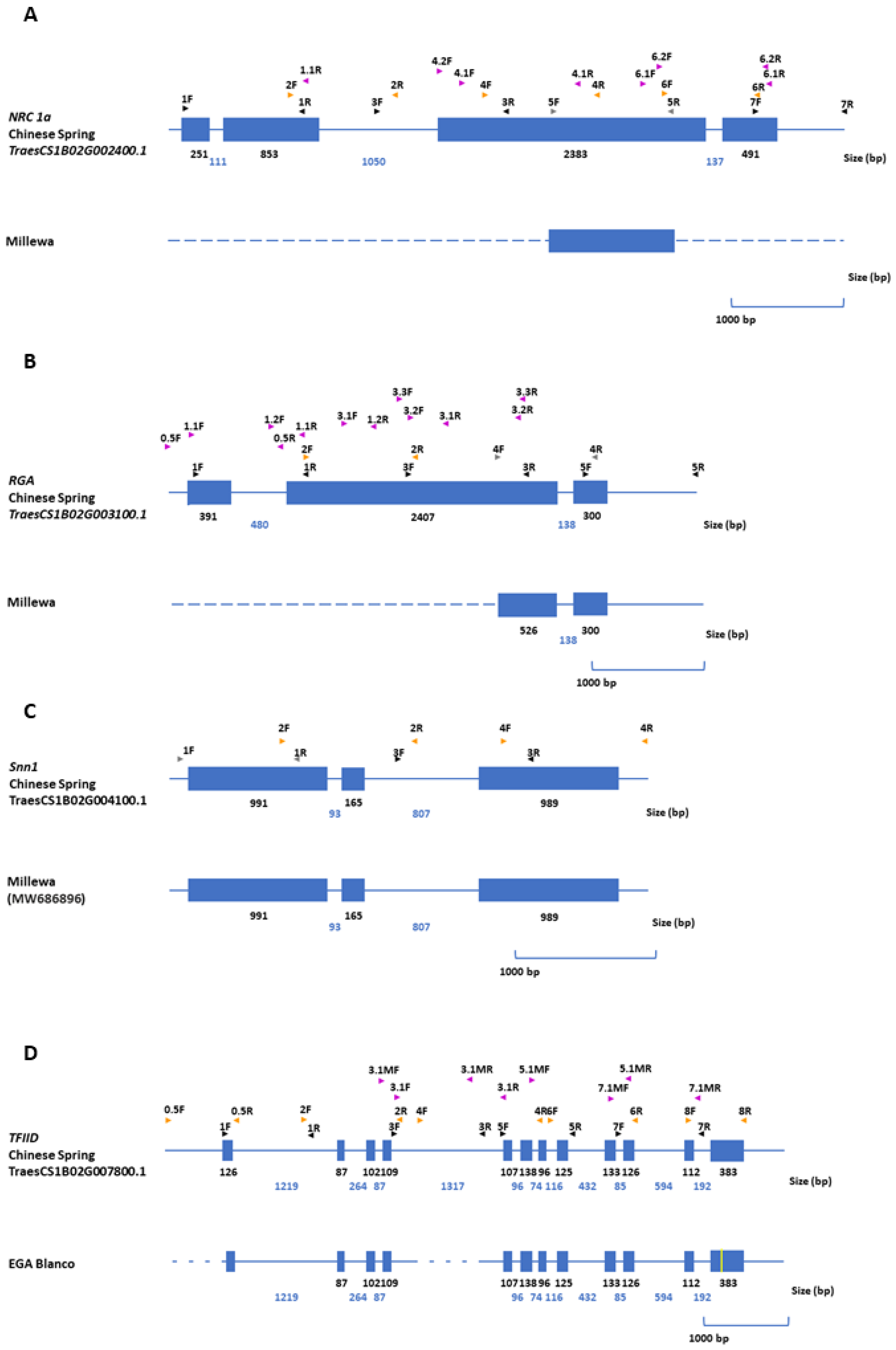 Ijms 22 05580 g003 Ijms 22 05580 g003
