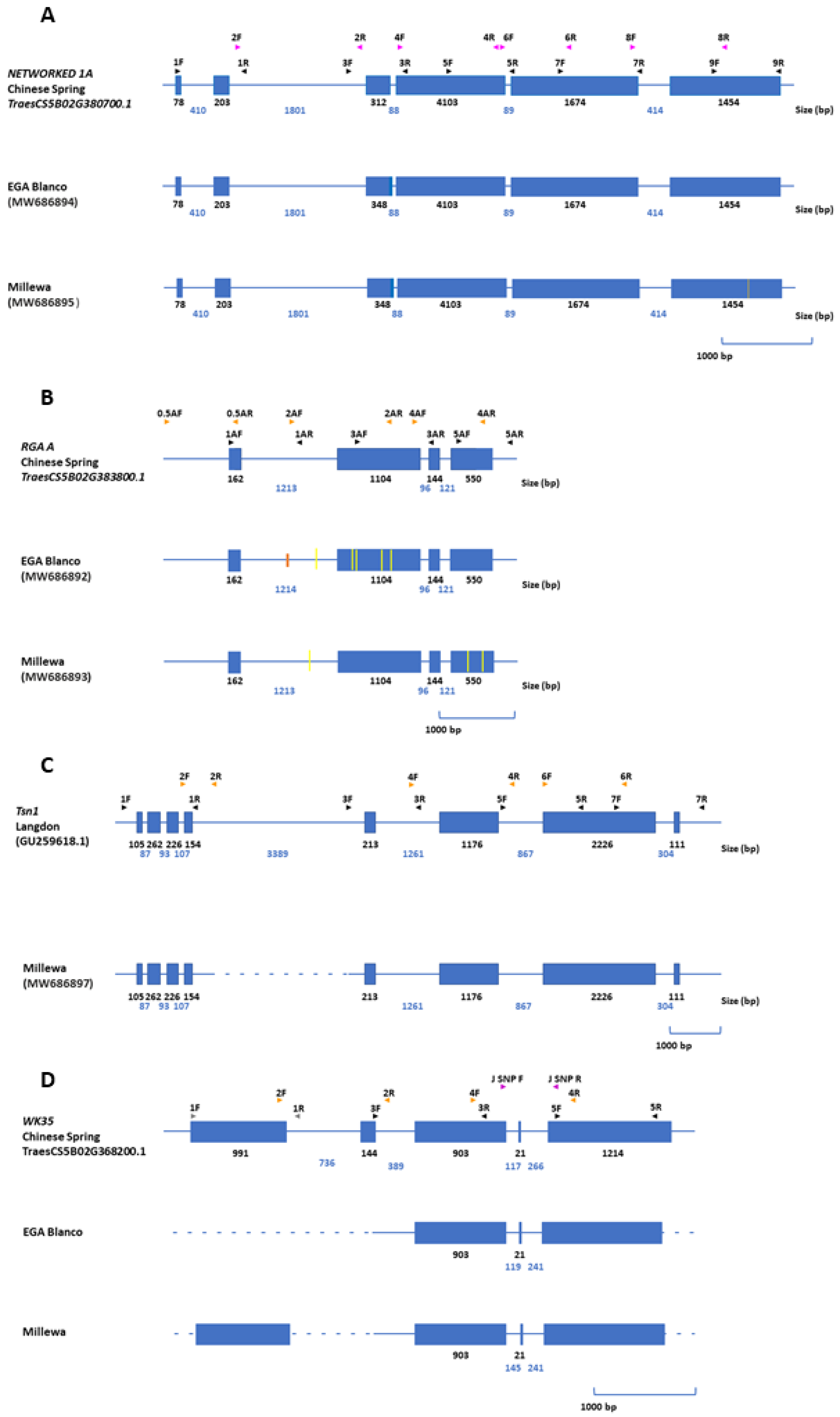Ijms 22 05580 g004 Ijms 22 05580 g004